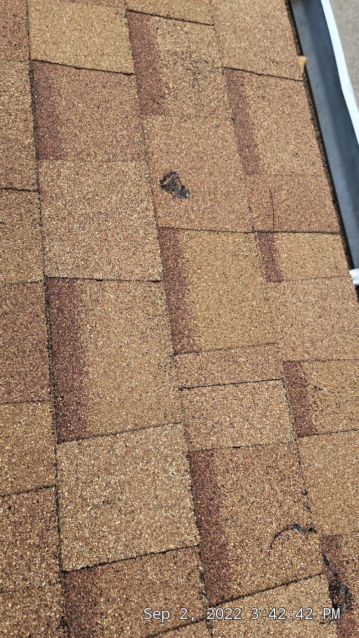 ATLAS PINNACLE COLOR: MORNING HARVEST DRIPE EDGE: WHITE by Eagle Eye Roofing