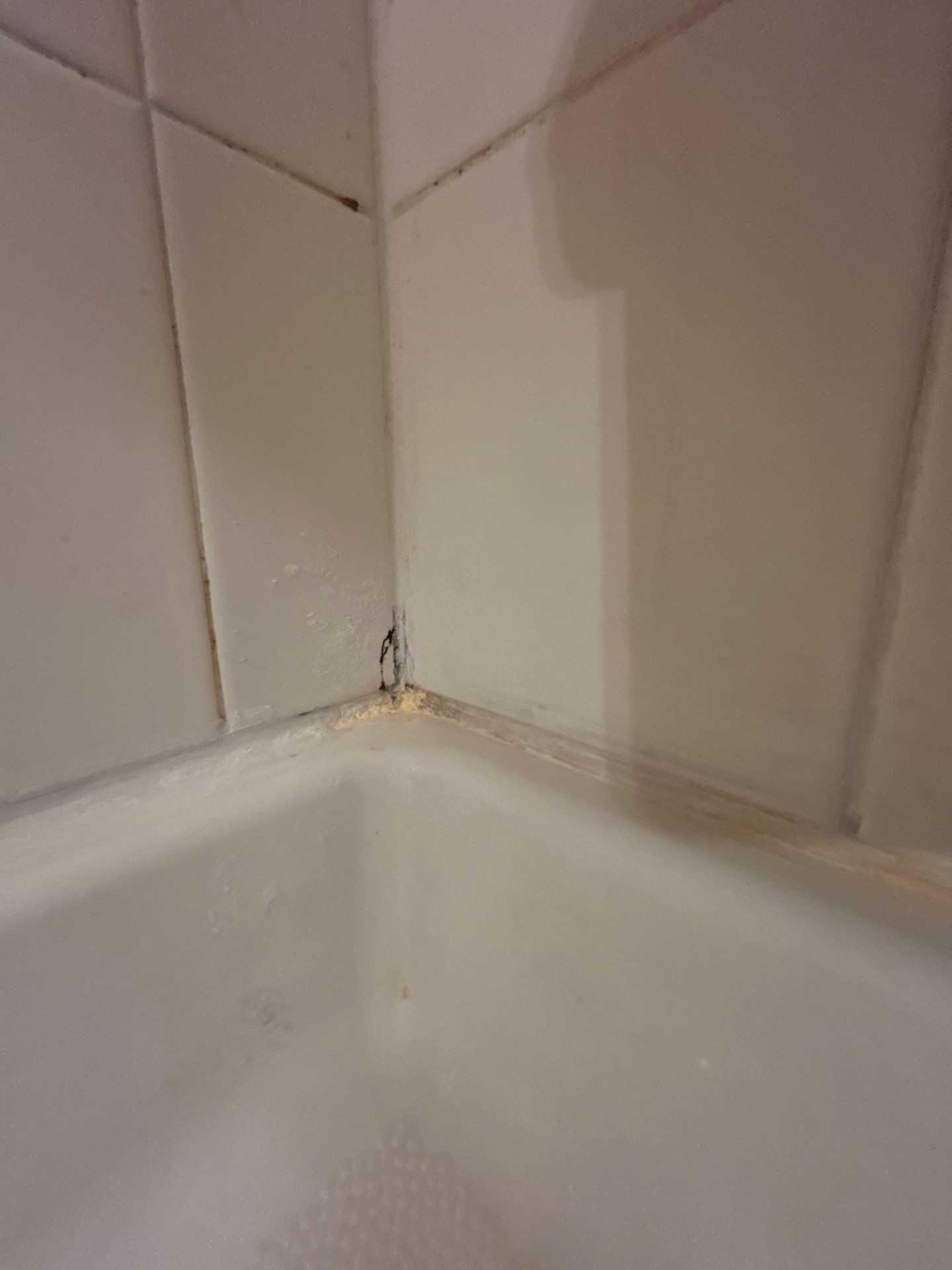 Project in Arvada by Accountable Home Services