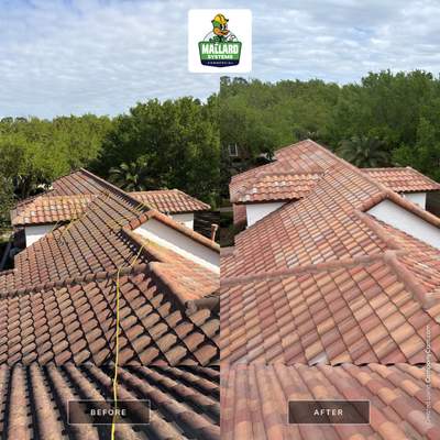 Tile Roof Clean & Seal