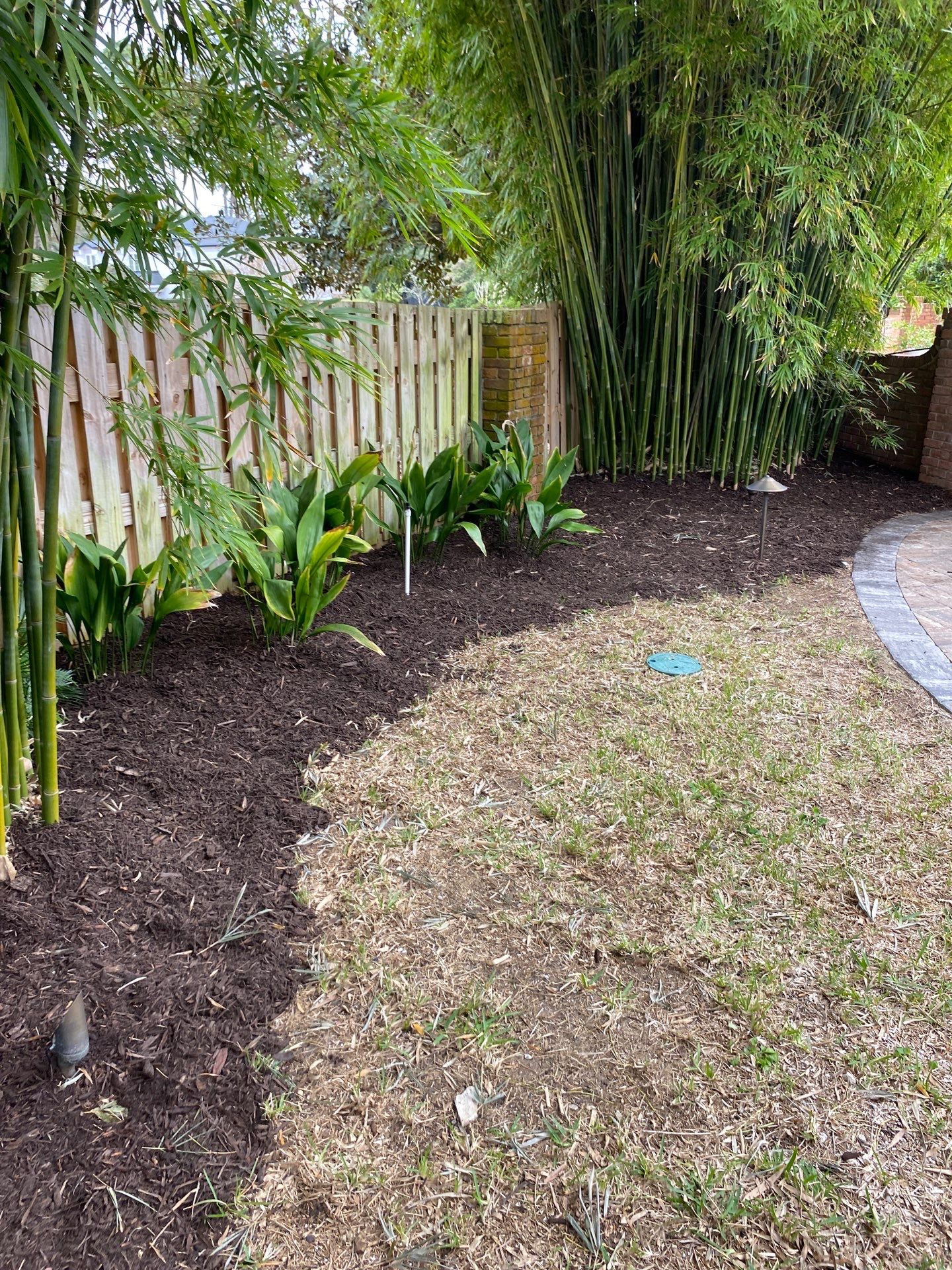 Deerwood Resident | Tree Removal & Mulch Install by ProGreen Services