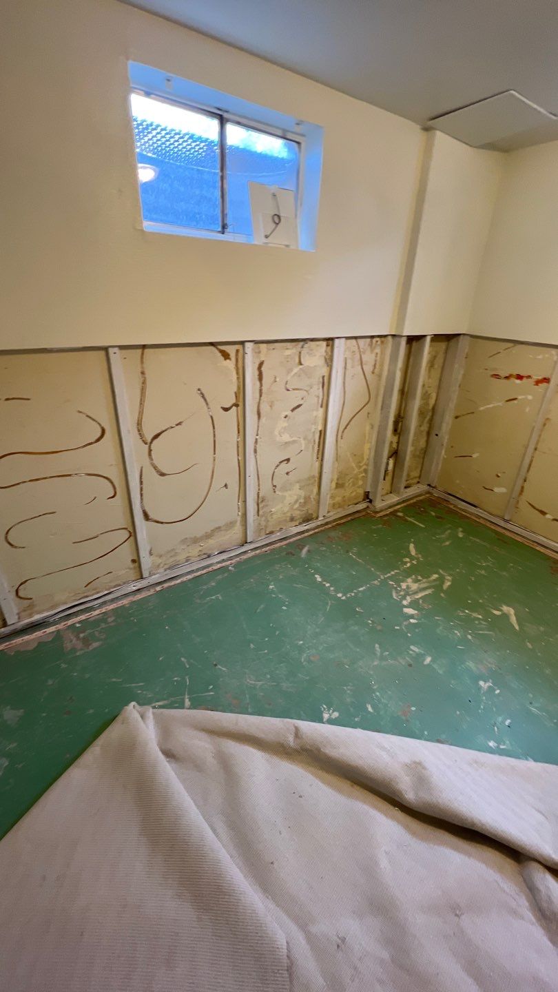 Mold Remediation by Accountable Home Services