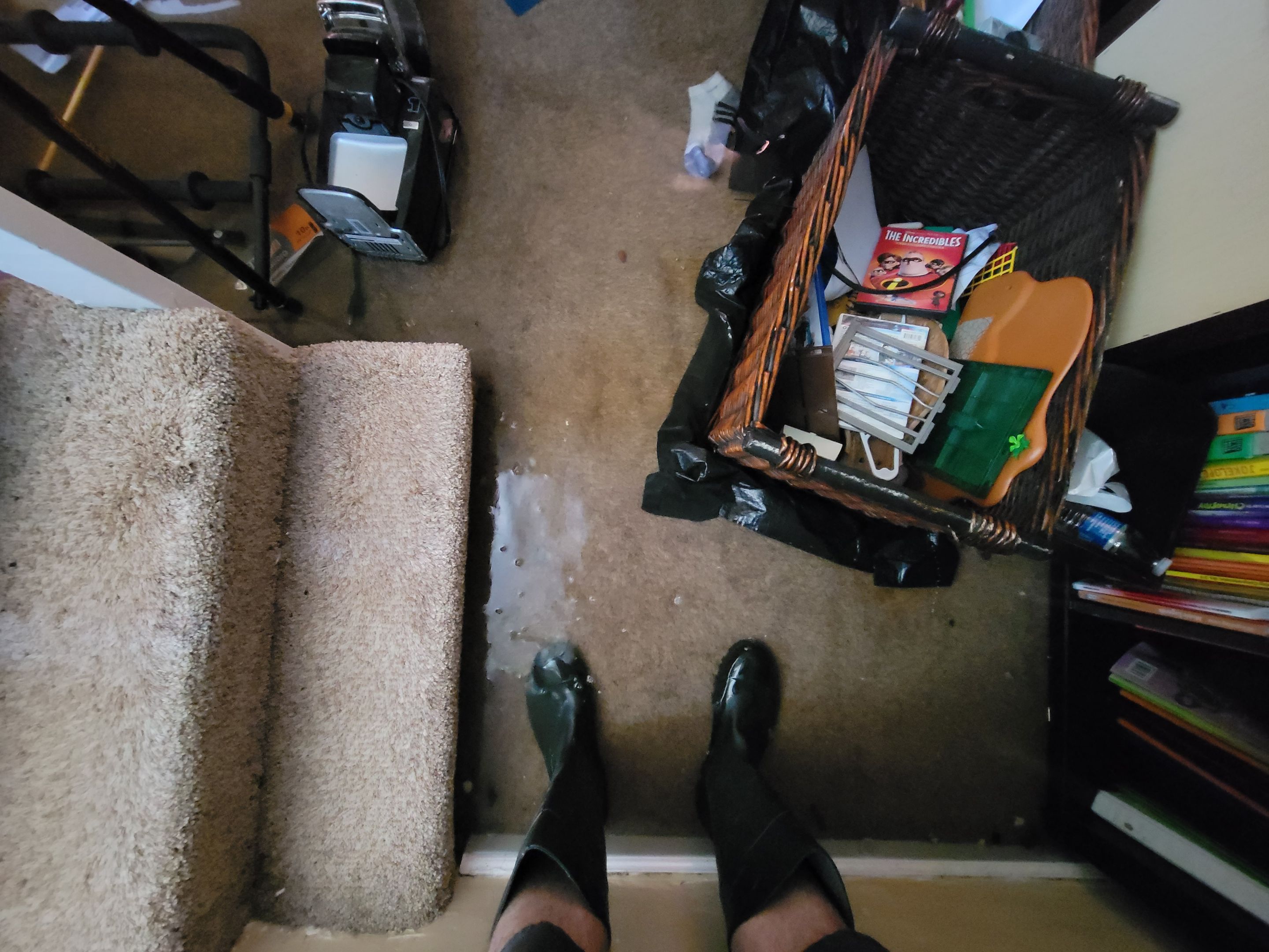 Sump Pump Failure by Chicagoland Water Medics