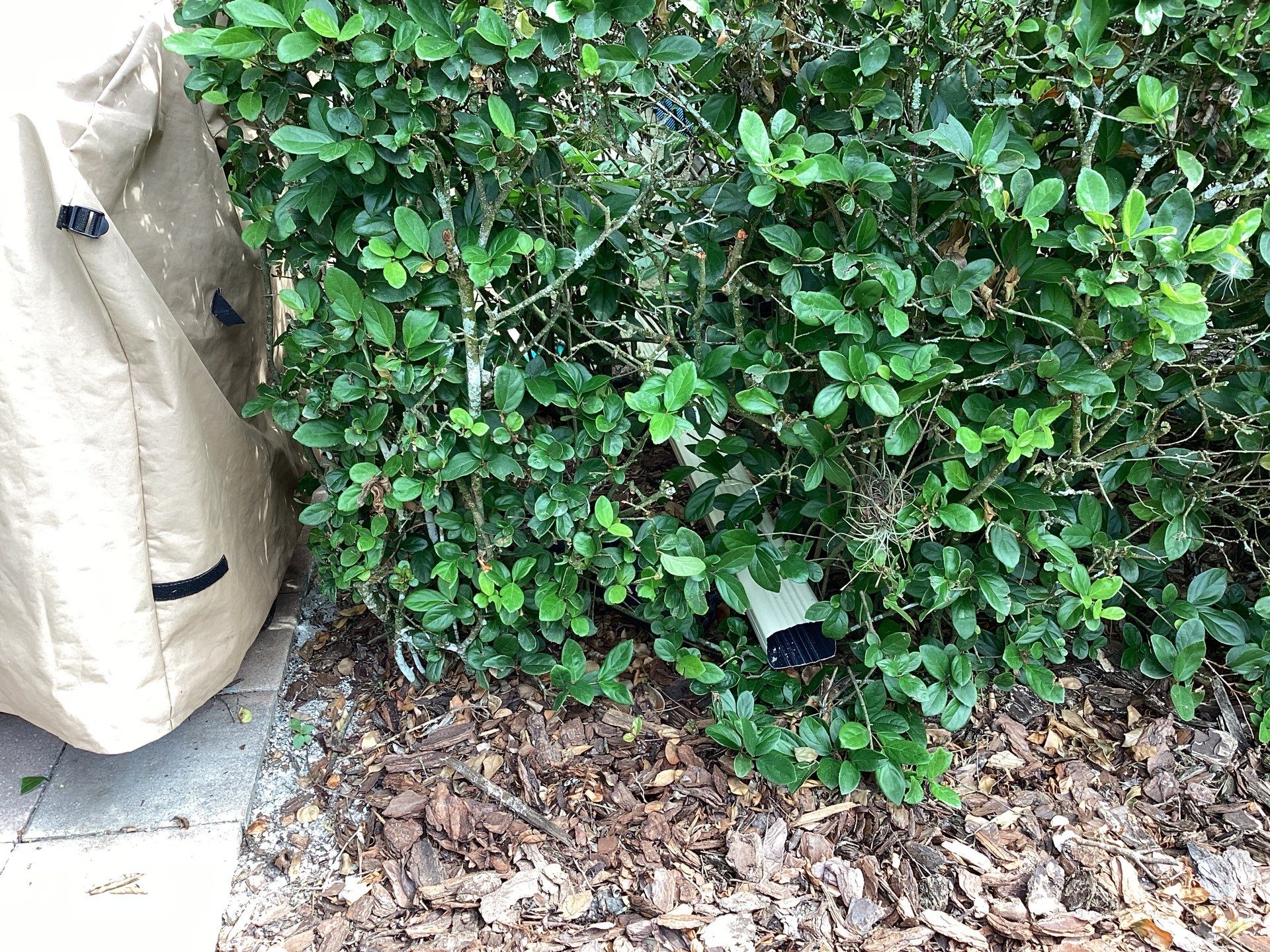 Gutter Project 7 inch seamless gutters using Cameo Gutters in Sarasota FL by Gutter Professors