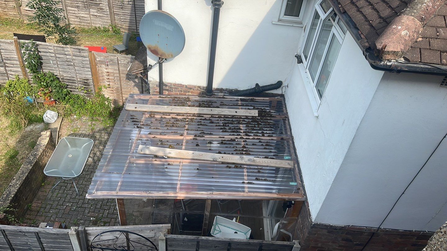 Roof Clean  - Moss Removal - Gutter Clean using Honda 15lpm Low Pressure Washing Machine by Ges Exterior Cleaning ltd