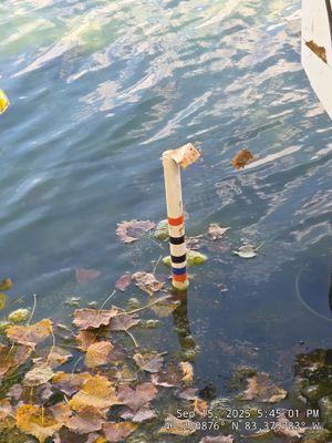 Project in Marysville