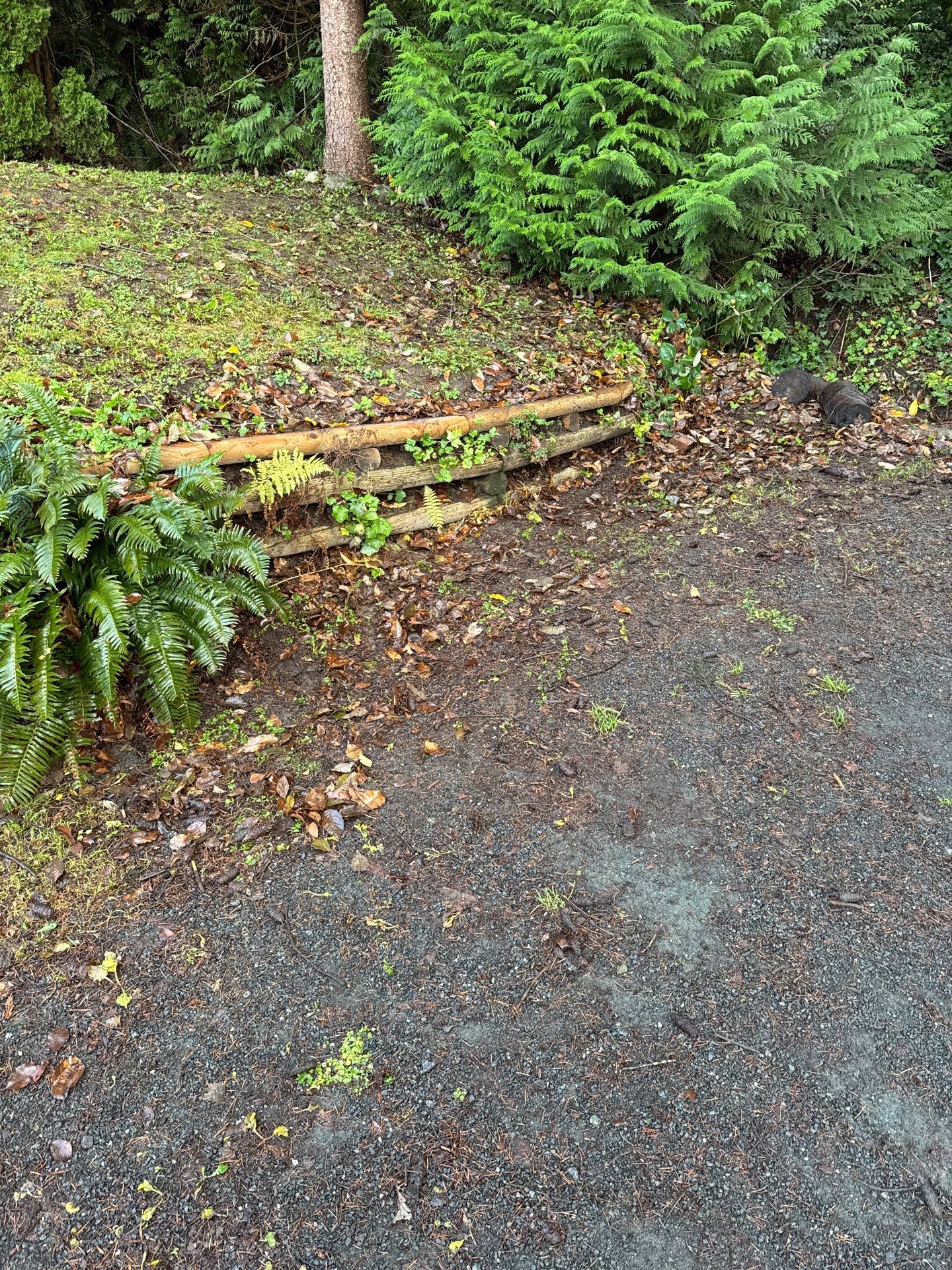 Leaf removal by YVR Construction Group