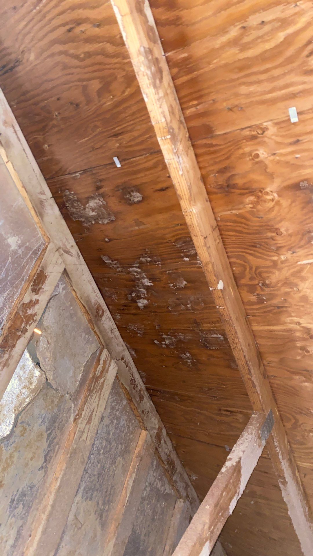 Sterling: Residential Roof Replacement with CertainTeed Landmark Pro Designer Shingles in Max Def Mojave Tan by RM Banning, Inc.