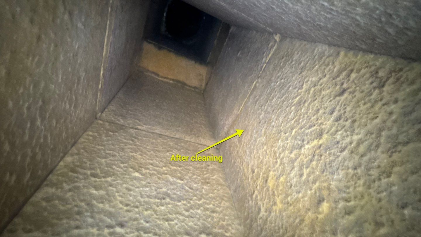 Air Duct Cleaning in Clermont by Hygienic Air, Inc