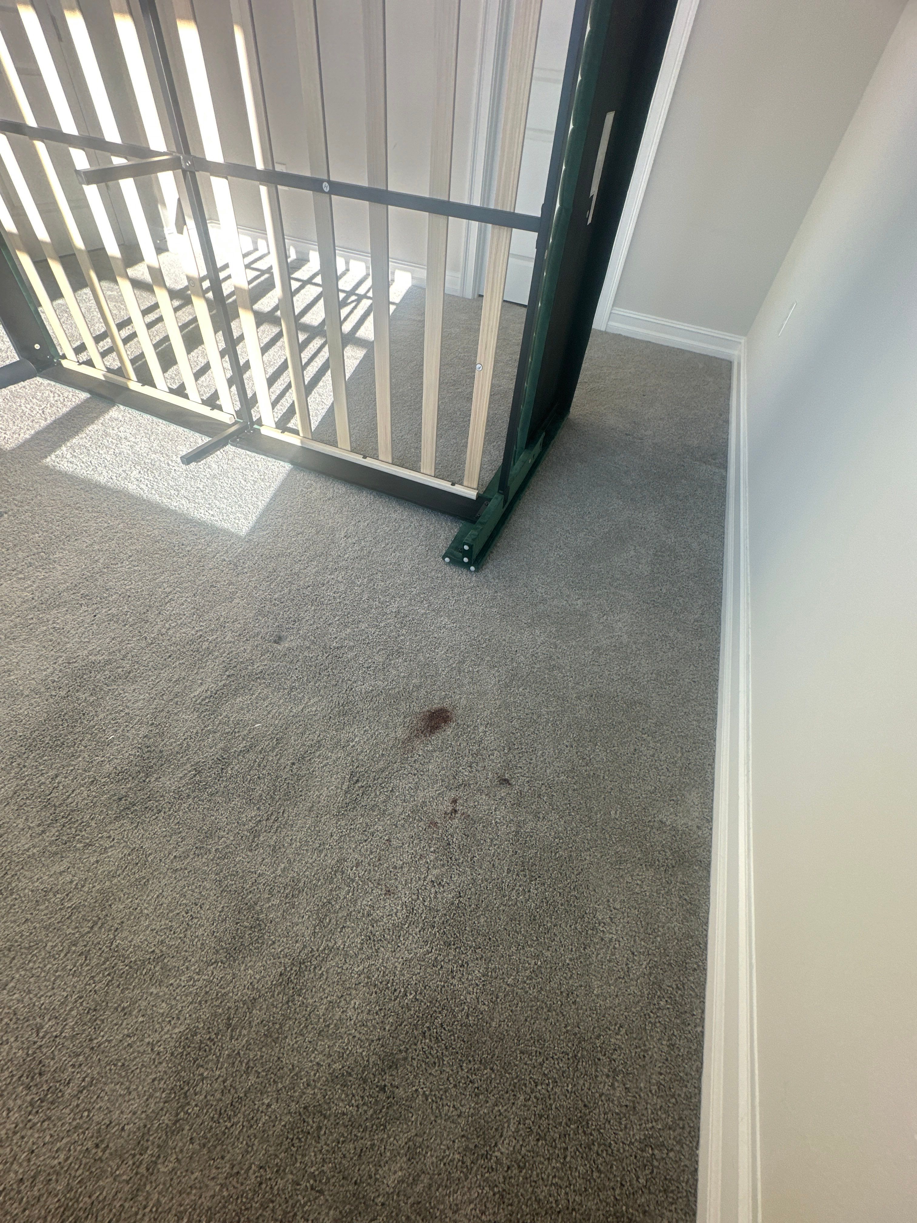 Rose Sadowski - Interior by Fresh Coat Painters