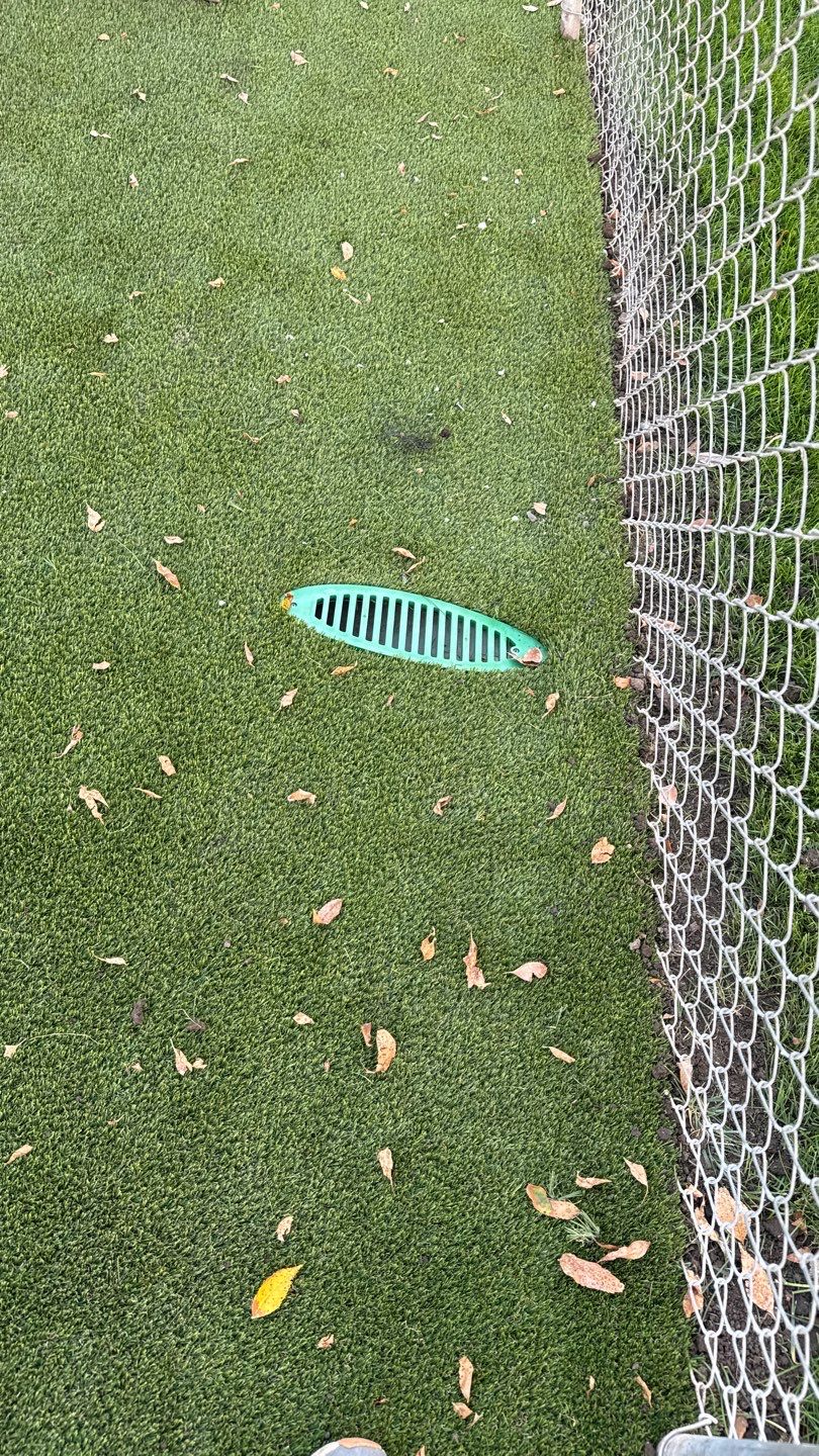 Pet Friendly Synthetic Turf Installation by New Horizon Landscapes