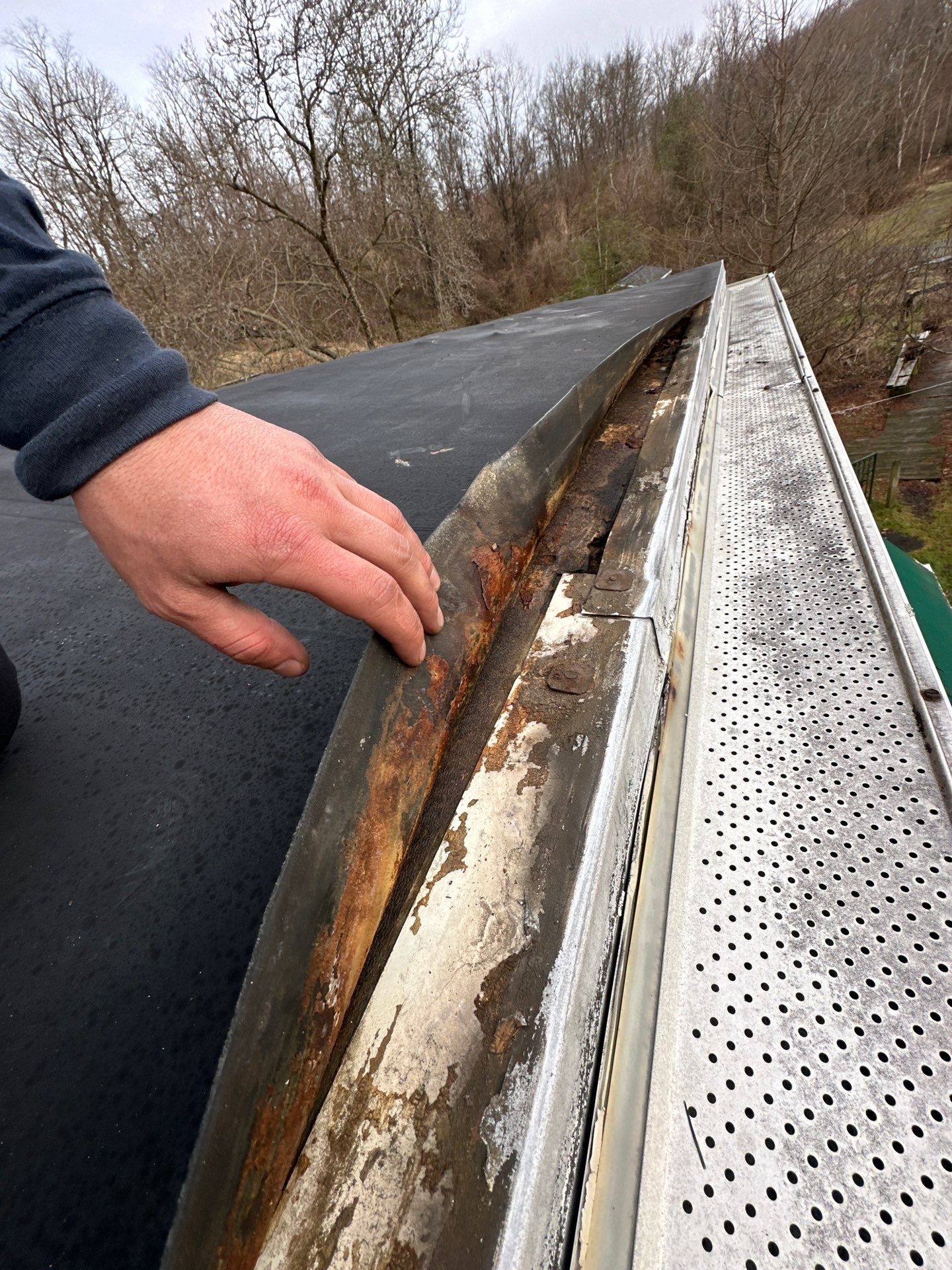 Roof Replacement in Freeland, MD • Matt H. by Seipp Roofing, LLC