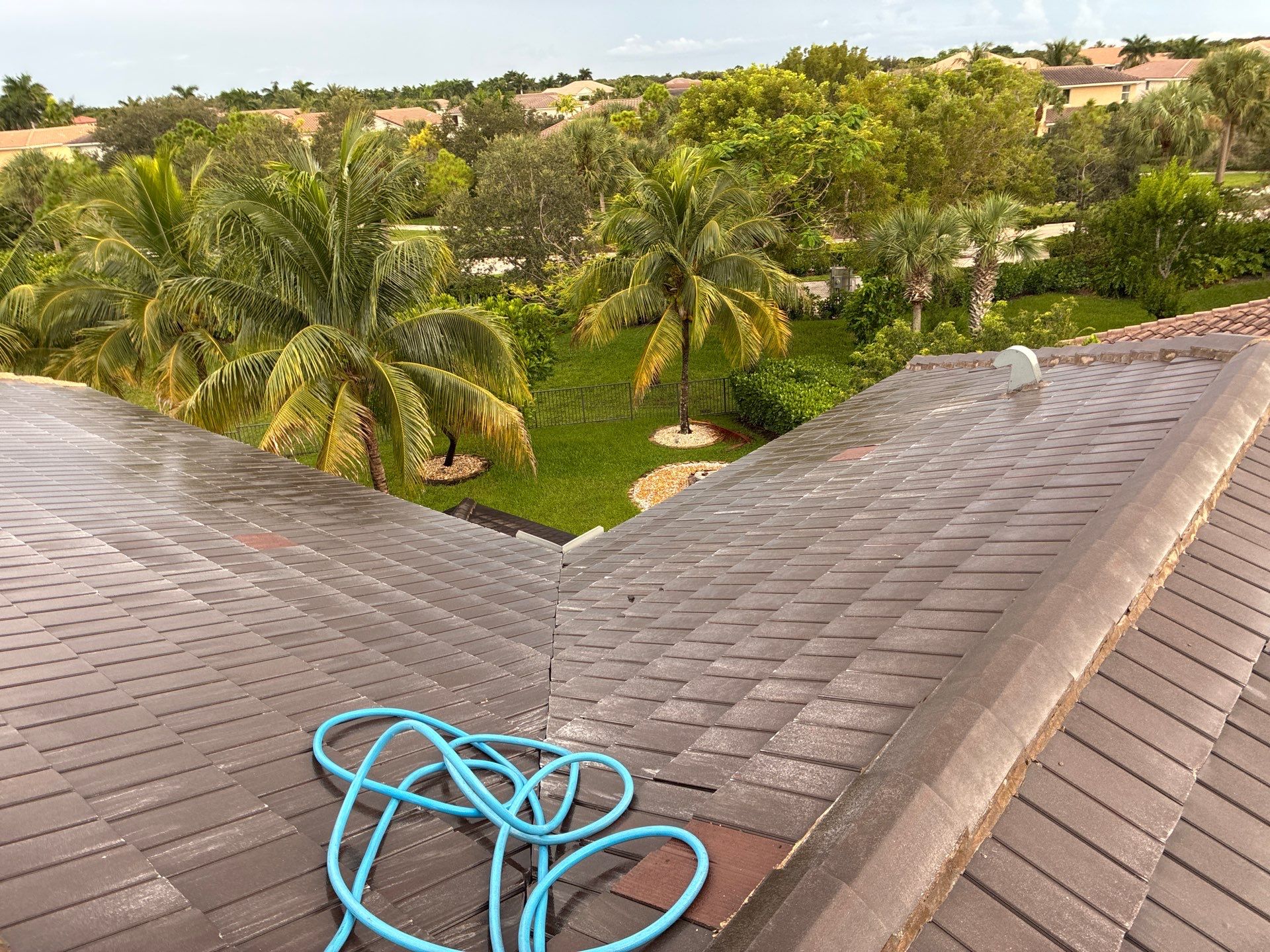 Heron Bay Parkland Painting by BKB Pressure Cleaning LLC