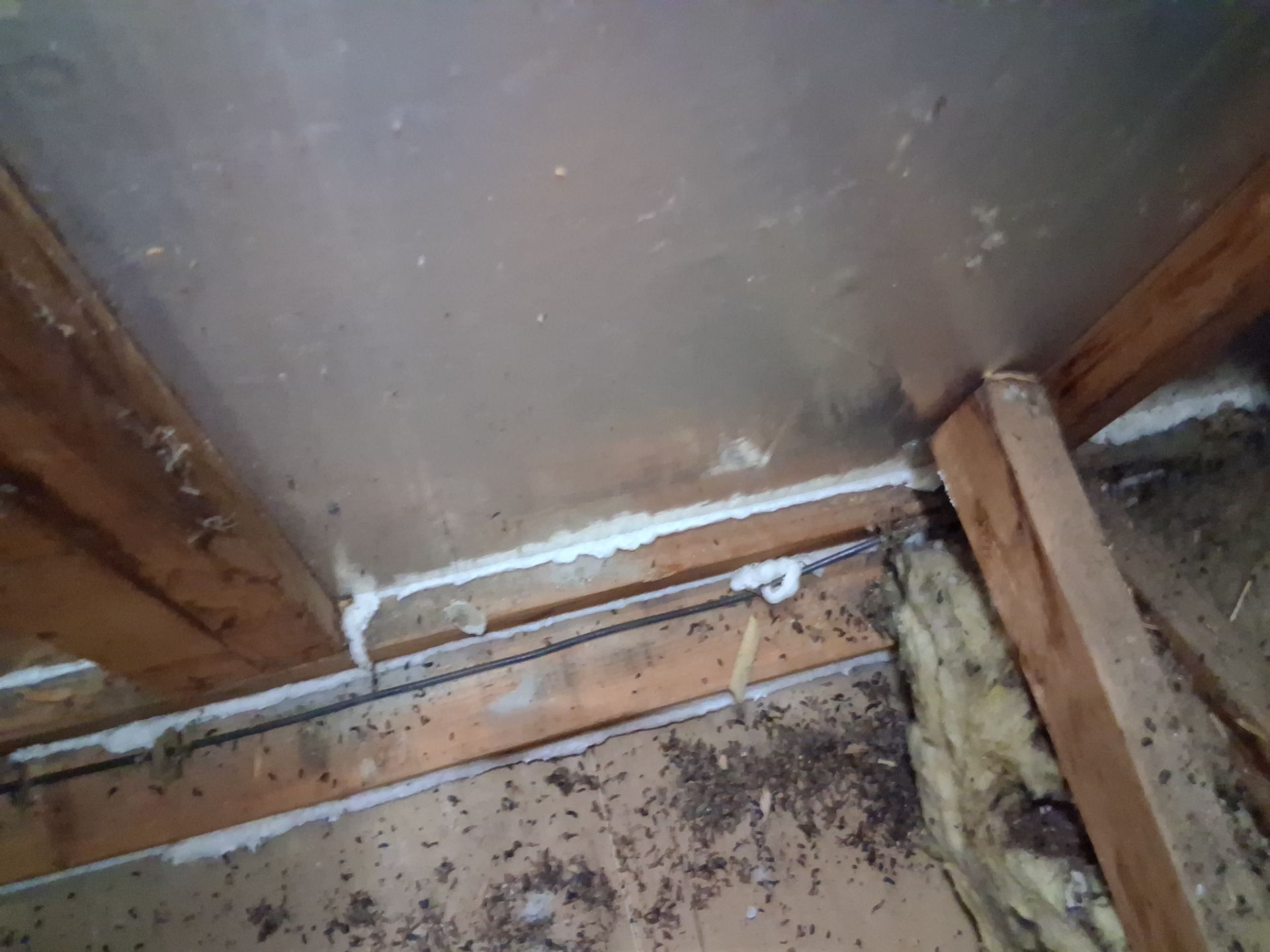 Bowie Residence by Smart Energy Pros