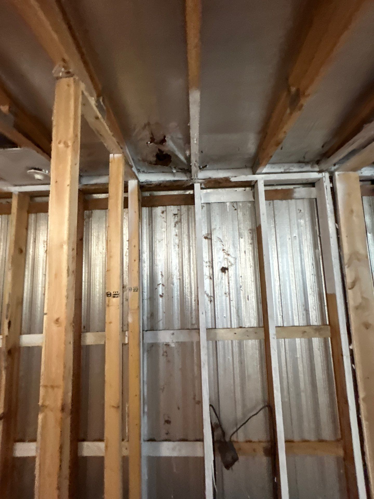 Mold Inspection And Repair In Bradenton by Ampm Restoration Services