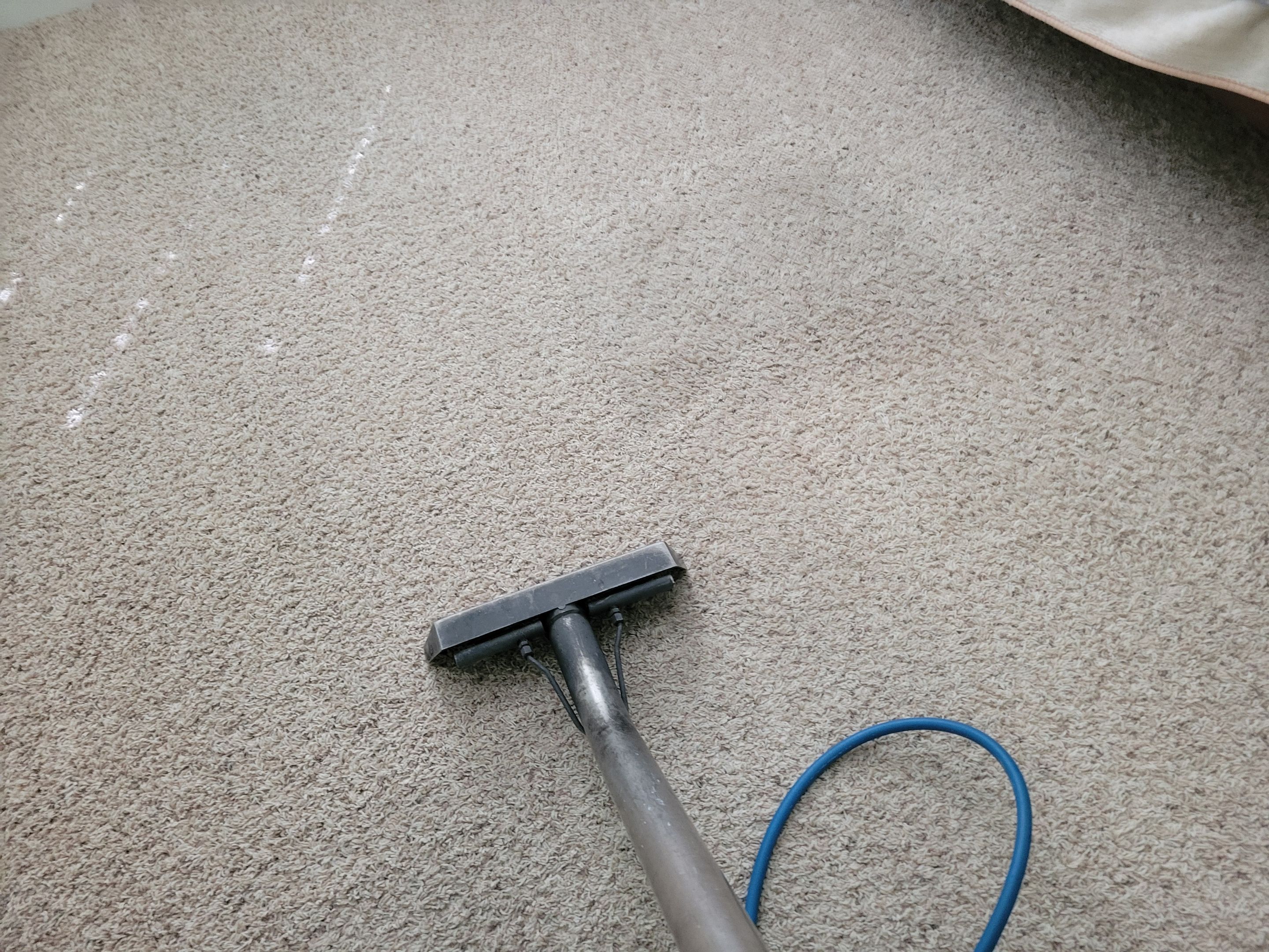 Black Staining, Carpet Cleaning by Ardent Carpet Restore LLC