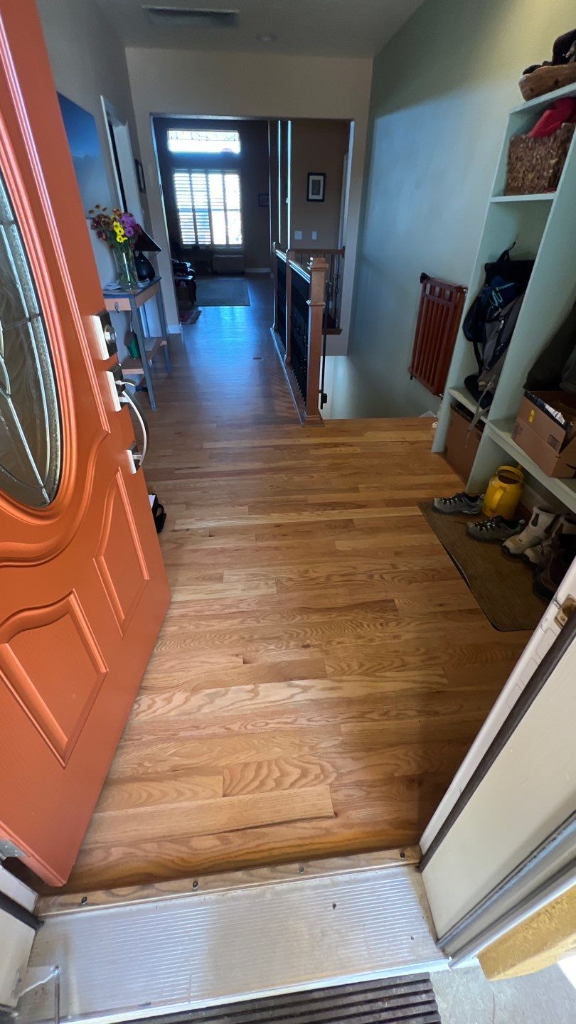 Mold Remediation by Accountable Home Services