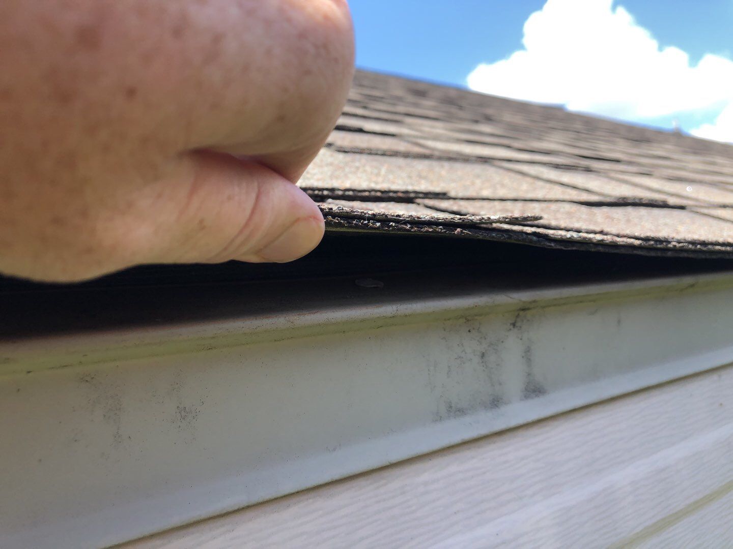 James Cai by Dads Roofing