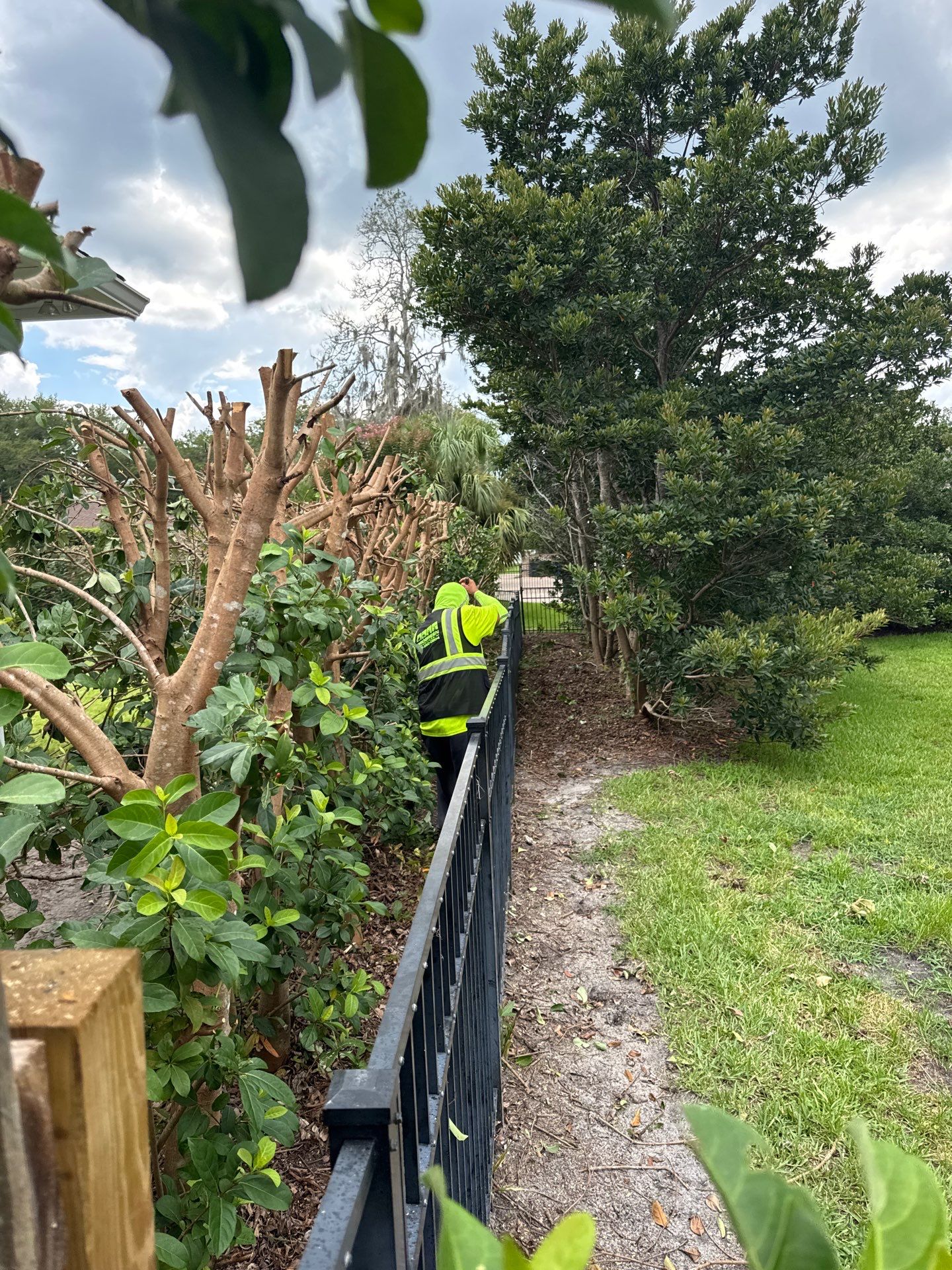 Deerwood Resident | Shrub Trimming by ProGreen Services