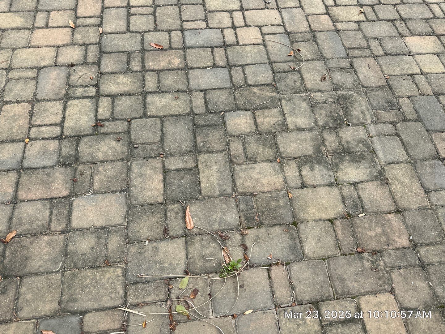 Pavers using TopSeal and Concrete Sealant by DuraSeal