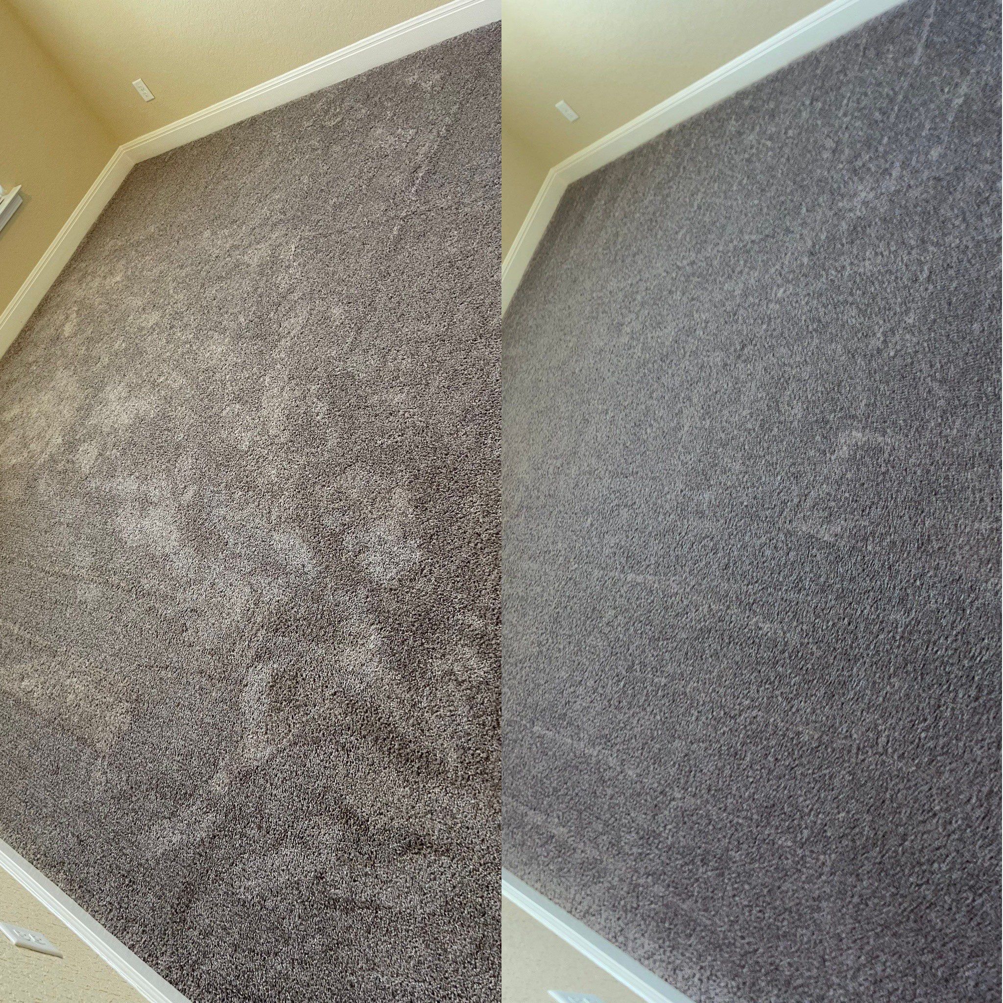 carpet cleaning service shown with a comparison before and after cleaning demonstrating effective removal of stains and dirt