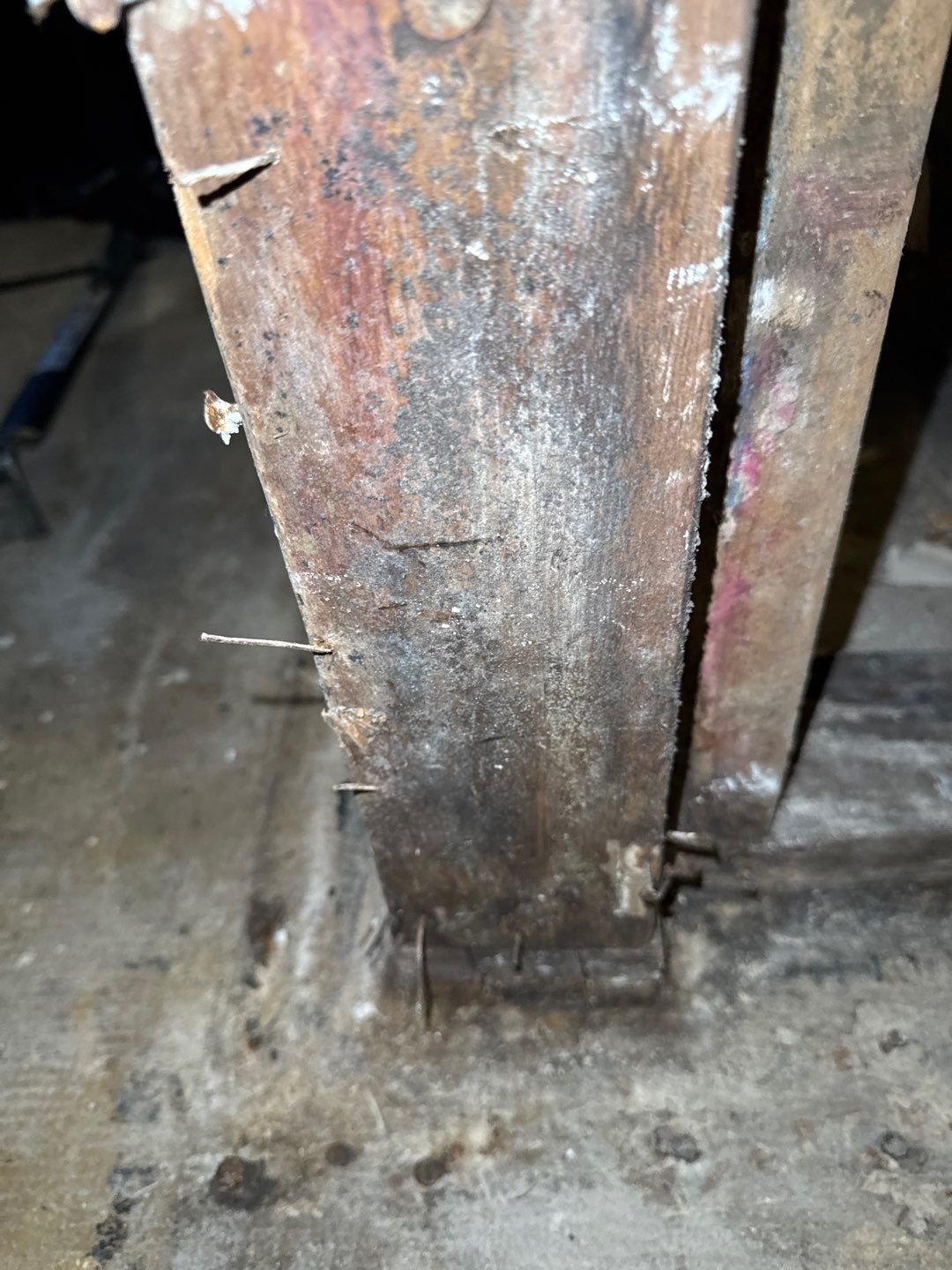 Mold Remediation Project by Chicagoland Water Medics