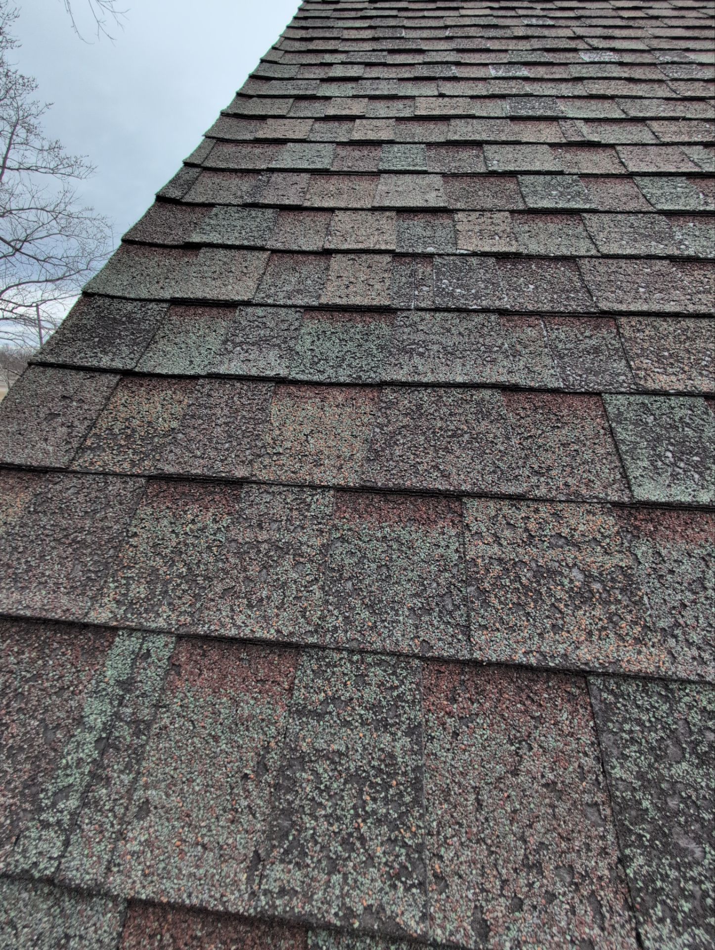 Roof Replacement in Nixa by Table Rock Design + Build