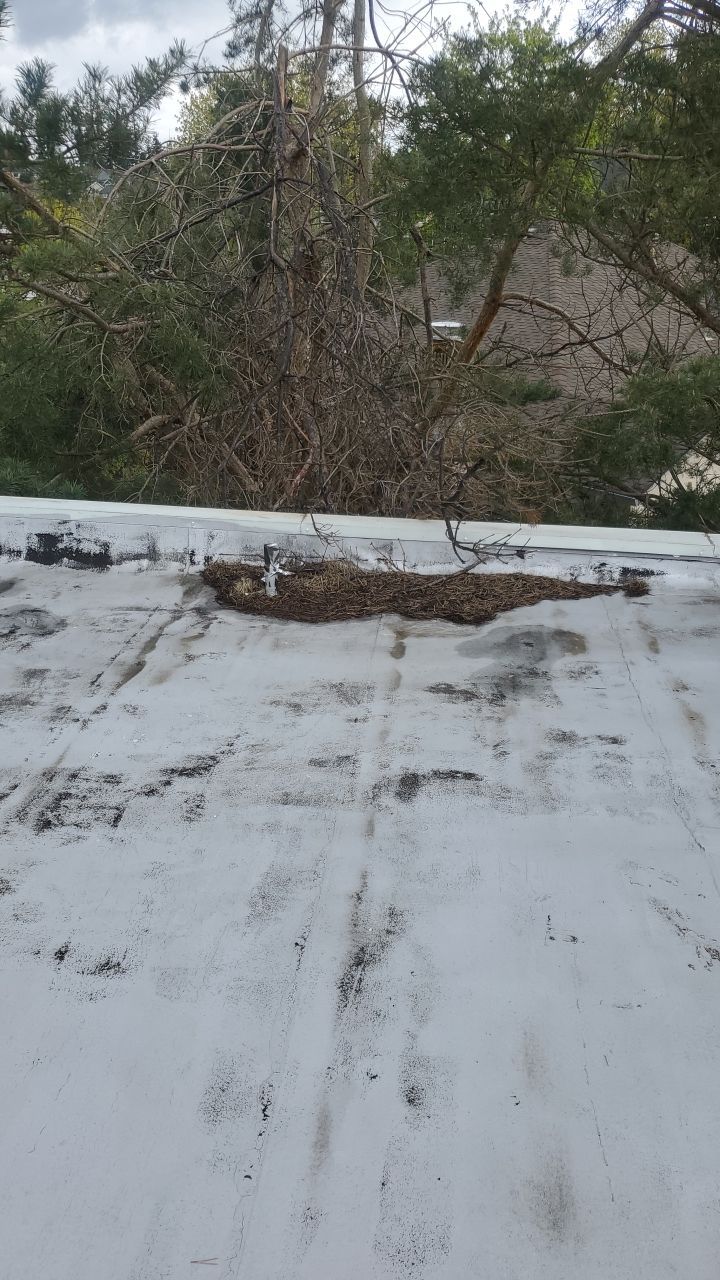 Gutter Cleaning using Moderate Pressure by Willamette Outdoor Wash LLC