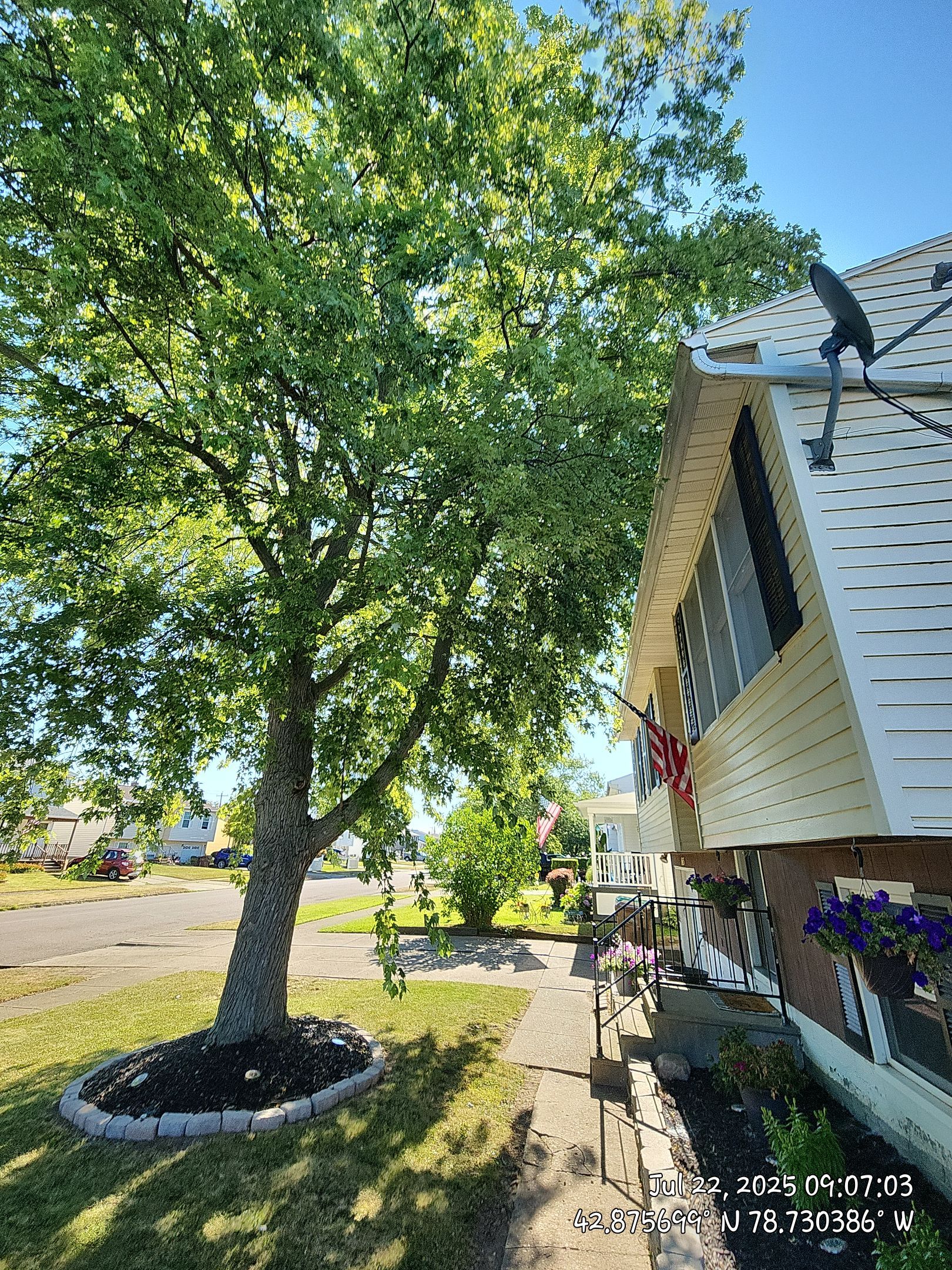 Preventative Roof Protection by Treeman Tom LLC