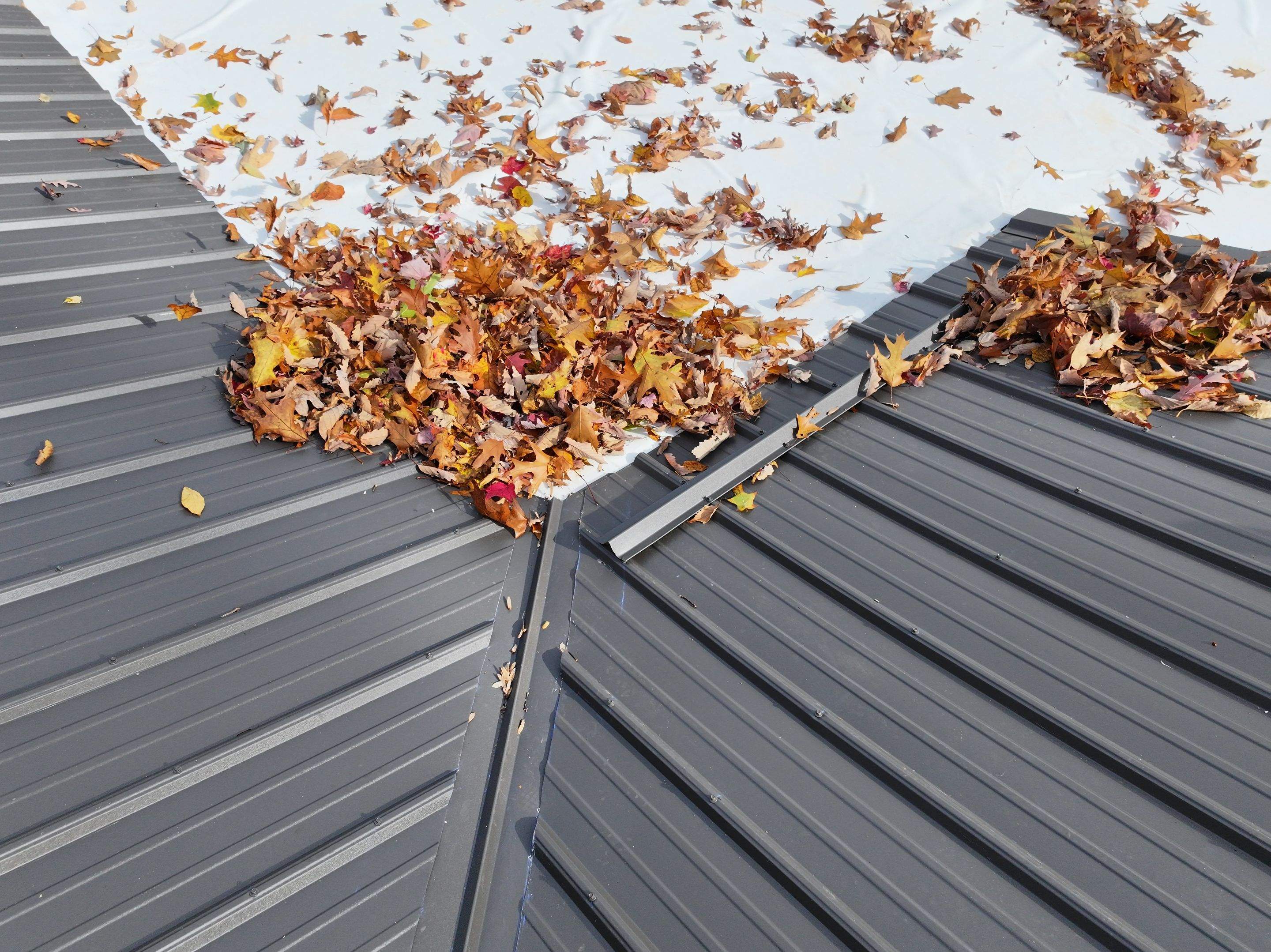 Jones Residence by Omnia Roofing