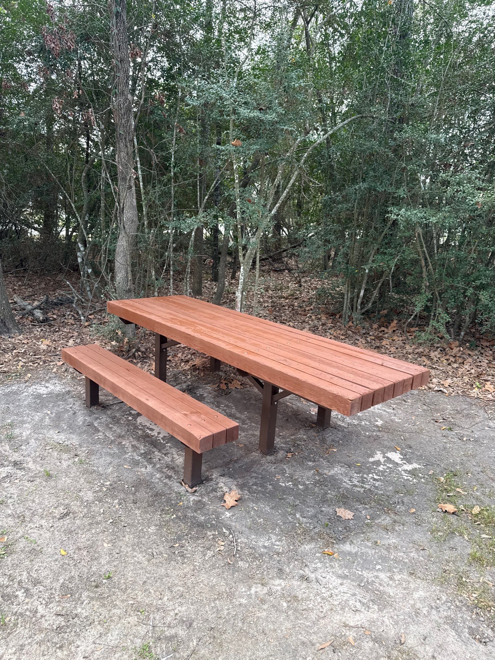 Clean and Stain Picnic Tables and Park Benches by Cypress Curb Appeal Services