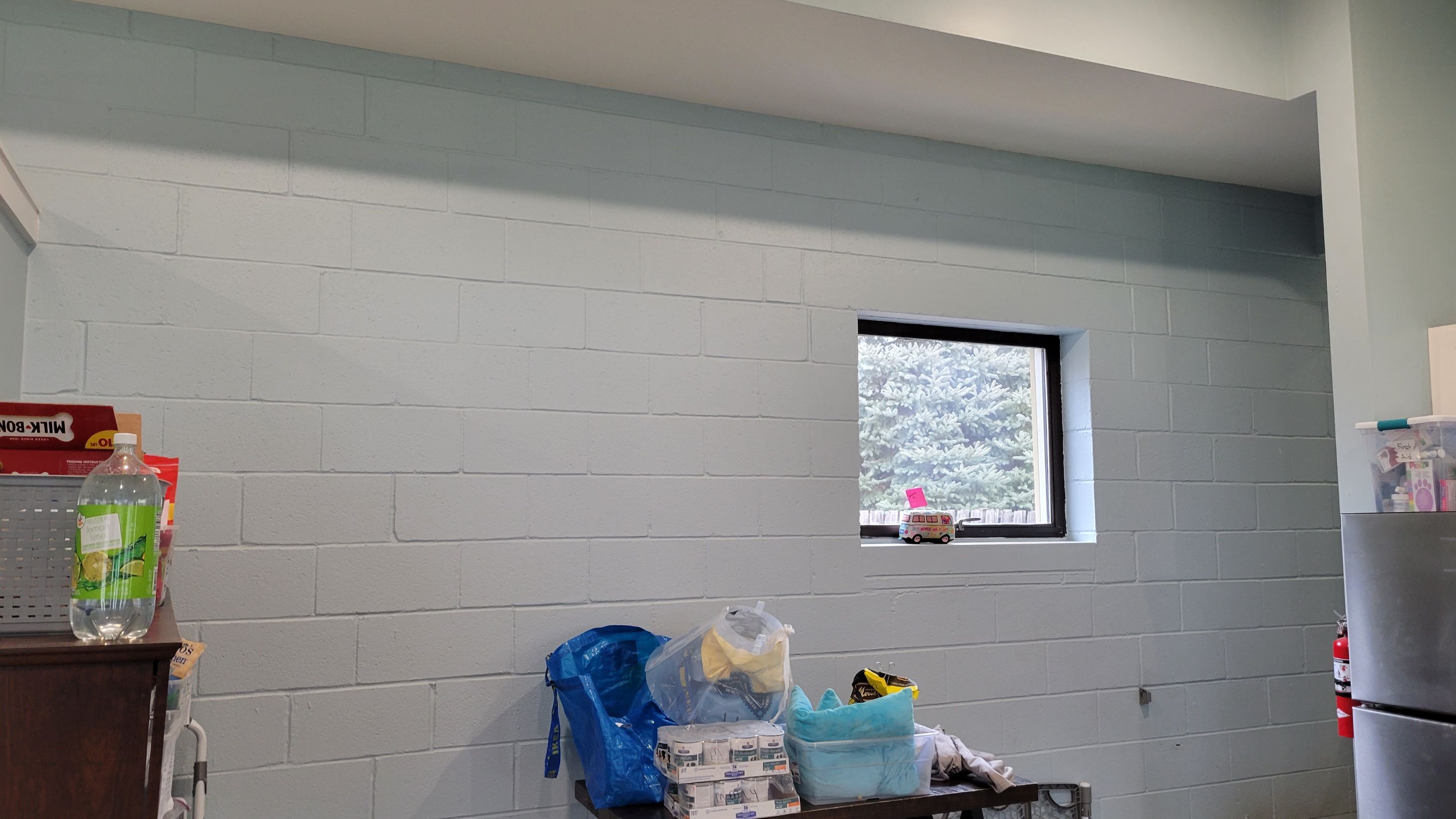 Kennel Floor Coating and Wall Painting using Penntek by Spectrum Painting, LLC