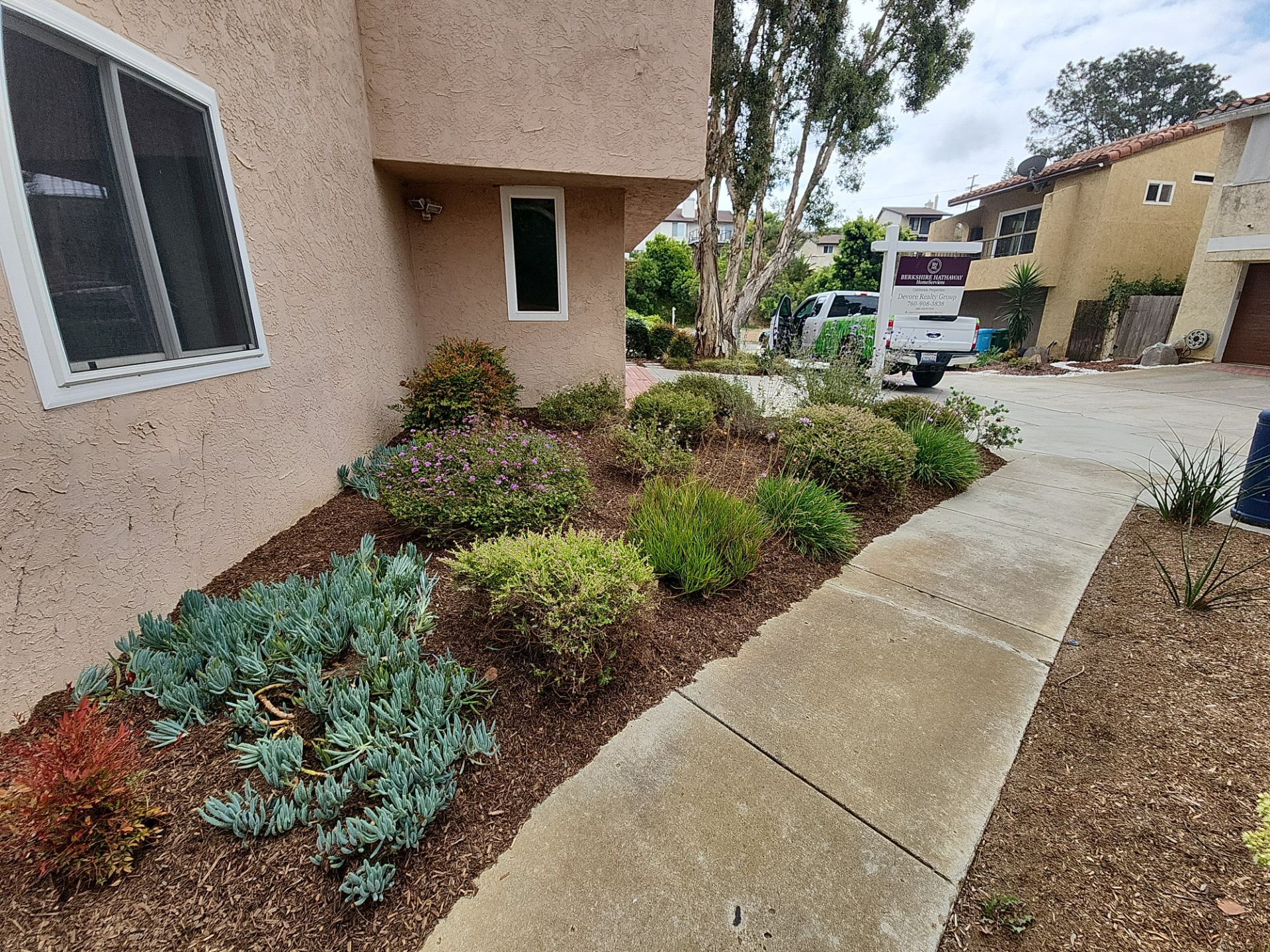San Diego Residential Landscape Refresh With Succulents and Wood Mulch by Yard Techs