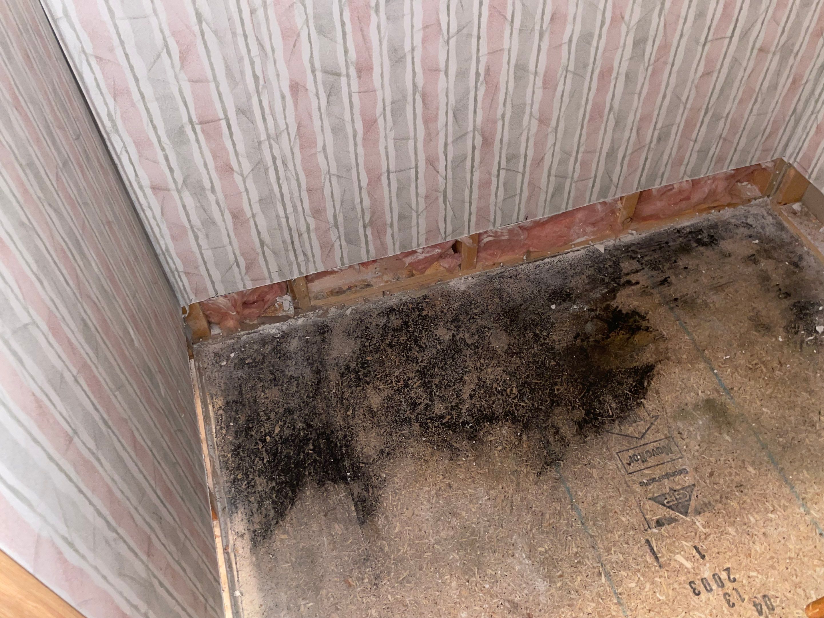 Water Damage Claim in Loch Sheldrake by FLAPA & KeyStone