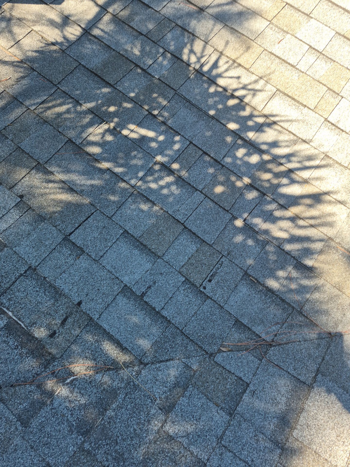 Project in St. Petersburg 33710 by Mitchell Roofing Company LLC 
