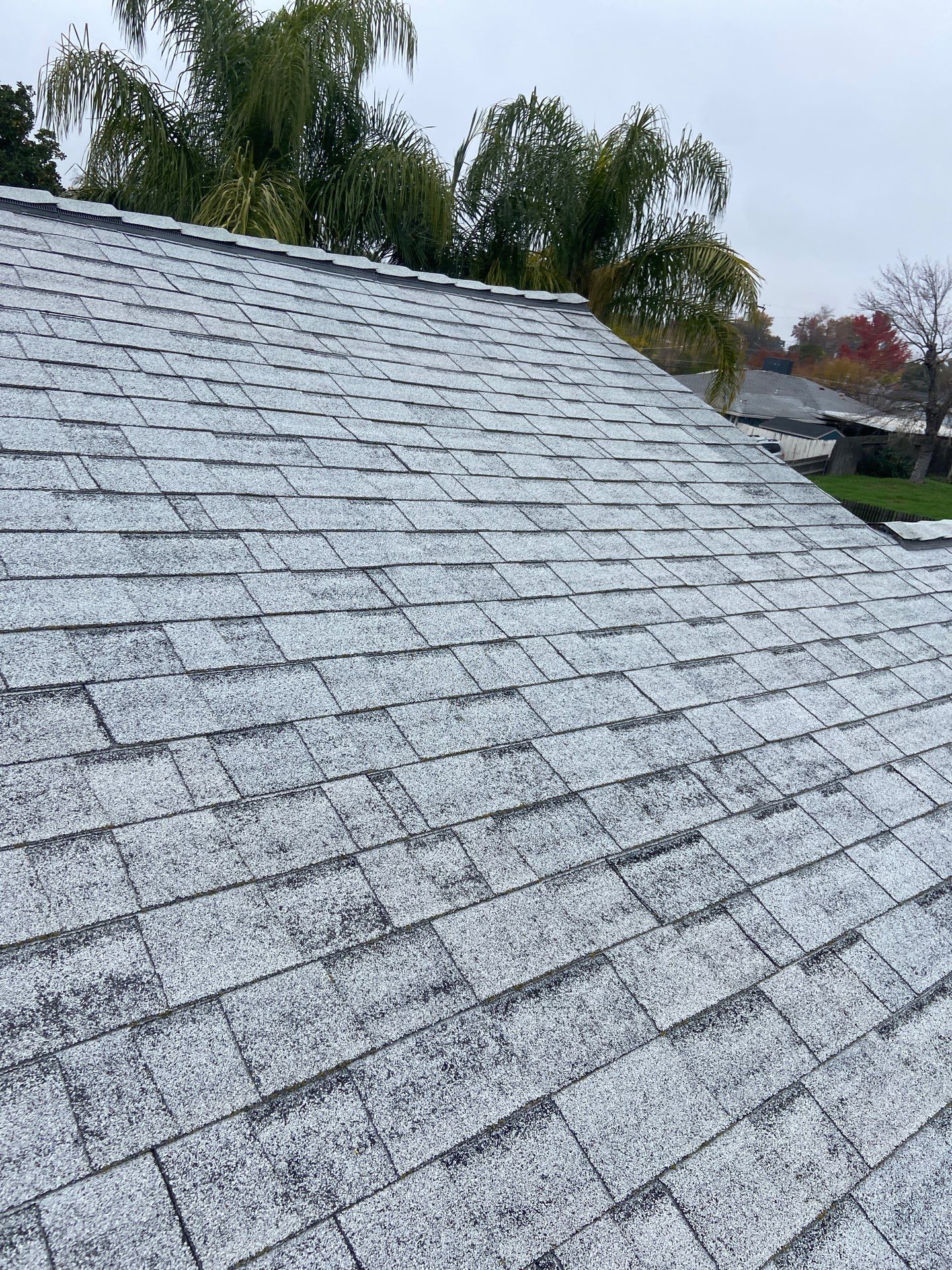 Roof Rejuvenation using Roof Maxx Treatment by Roof Maxx of Folsom