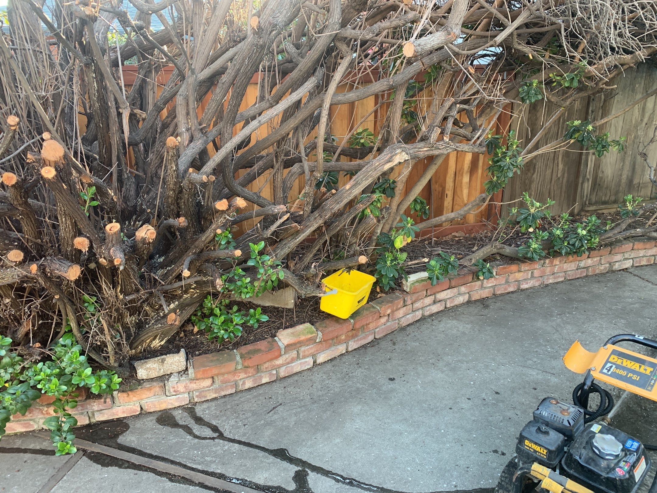 Donna Young’s Home by SpotFree Window Cleaning