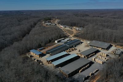 Project in Erin