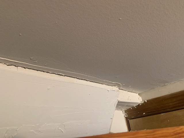 Ceiling & Shower Repair by A1 NERDY HOMES LLC