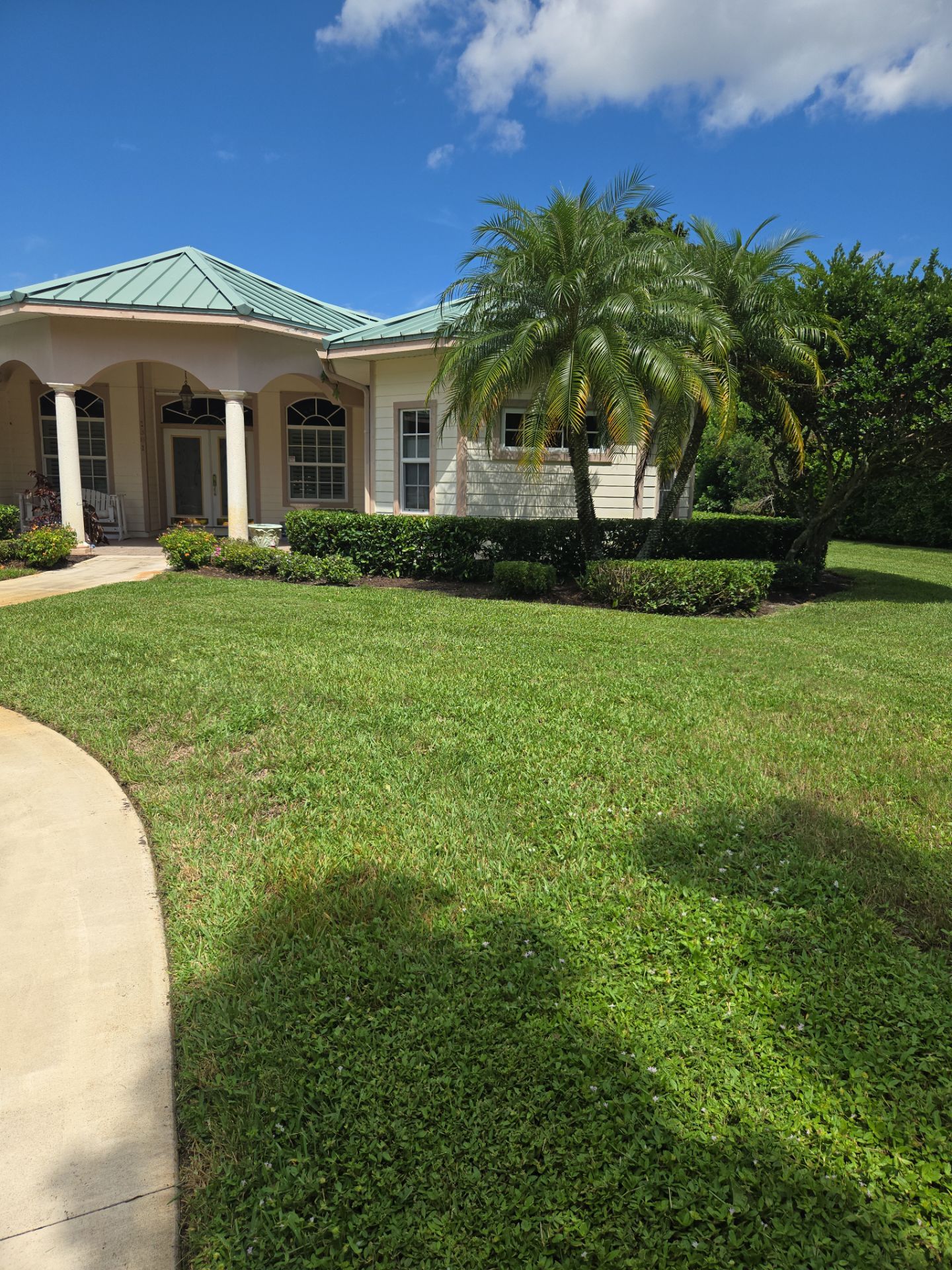 🌴 A Masterclass in Proper Palm Tree Cleaning & Trimming in Palm City Community by Alpha Zeta Enterprises Inc