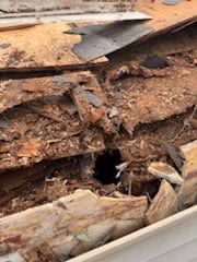 Project in Holland by Serene Construction