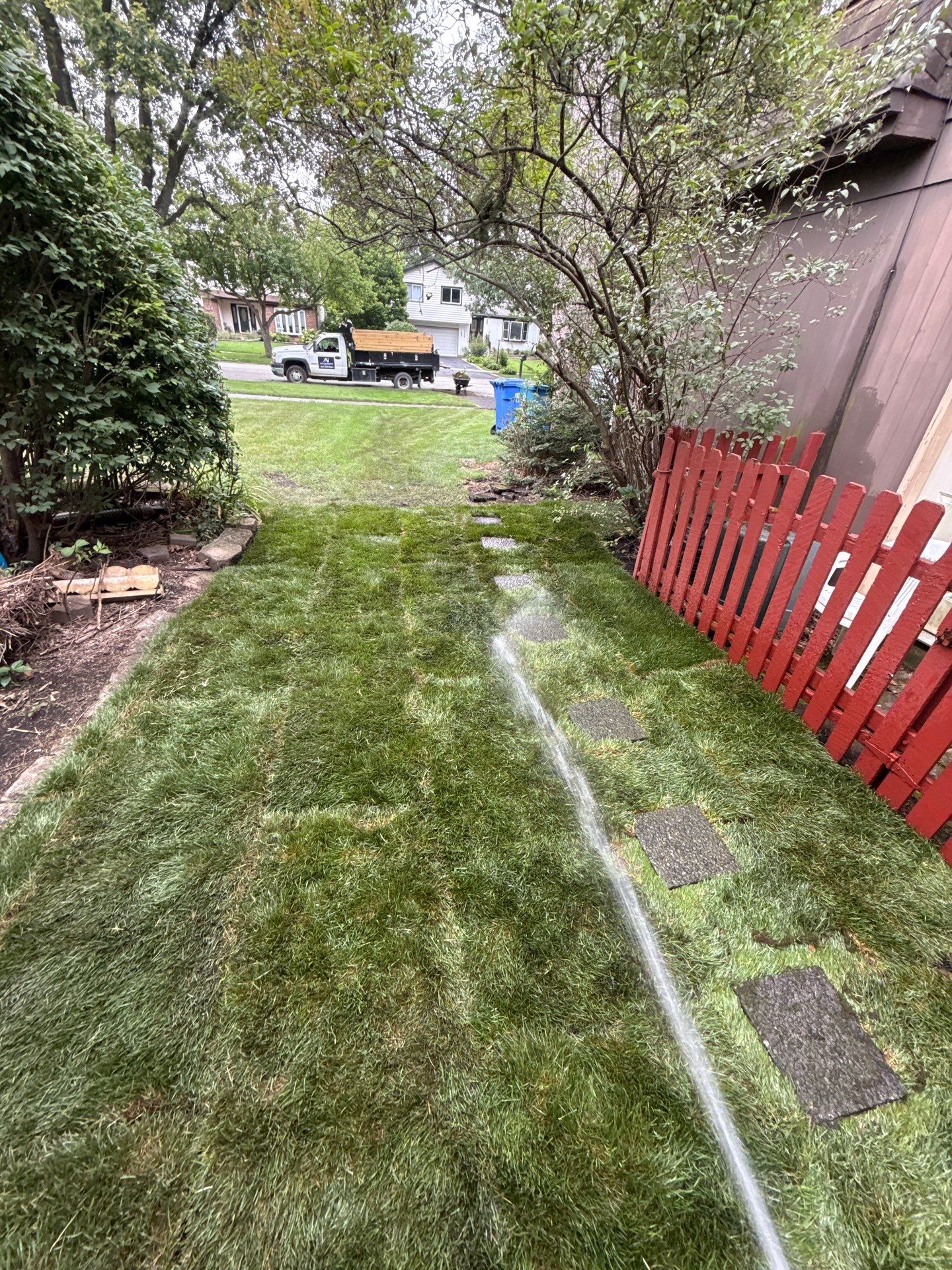 Helana M. - Mount Prospect, IL by A&N