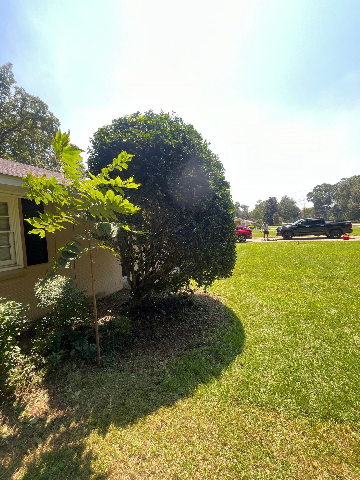 Yard Makeover by College Bros Outdoor services