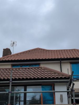 Roof Clean - Biocide Treatment using Honda 15lpm Low Pressure Washing Machine
