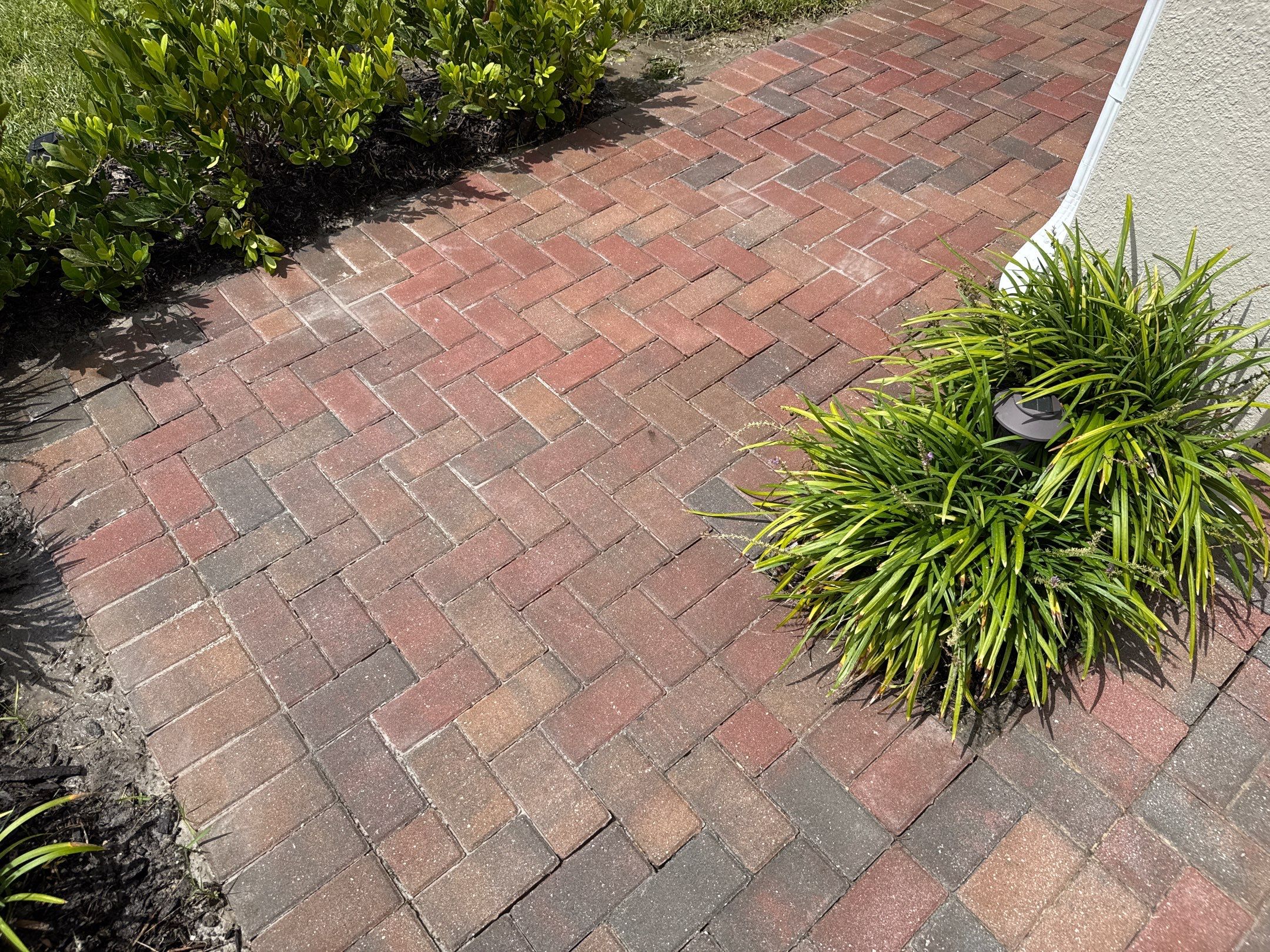 Complete House Wash, Driveway & Lanai Cleaning – Trevesta, Palmetto FL by Sunshine AquaWash