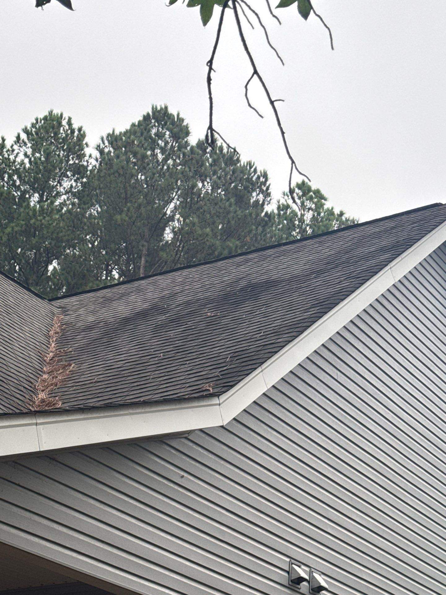 the service shown is roof cleaning to remove debris and clean the shingles and siding of the house