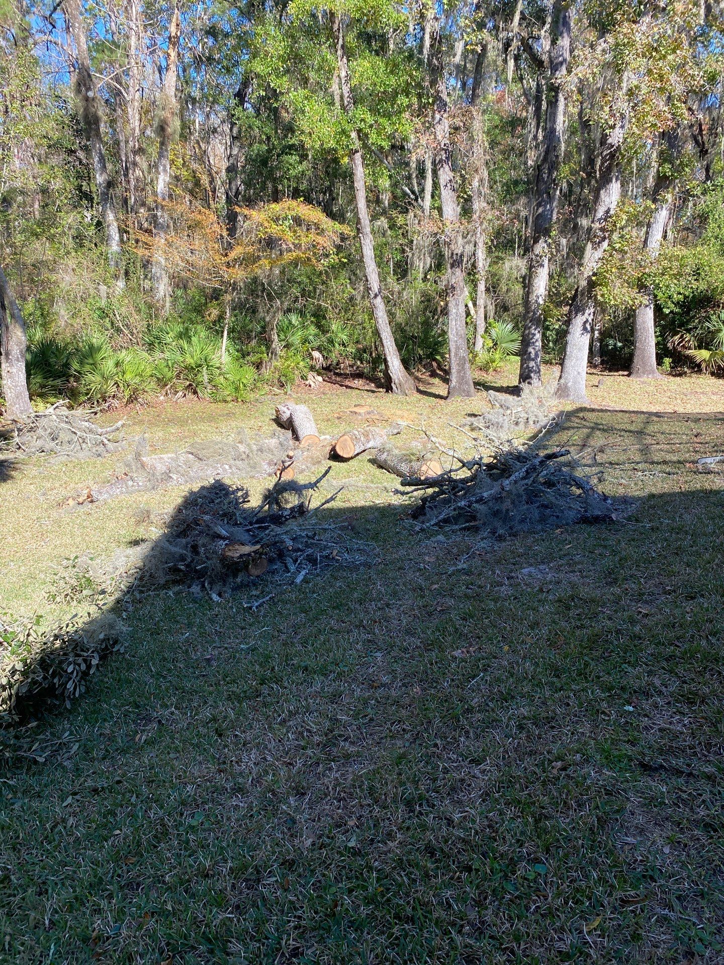 Residential | Tree Service by ProGreen Services
