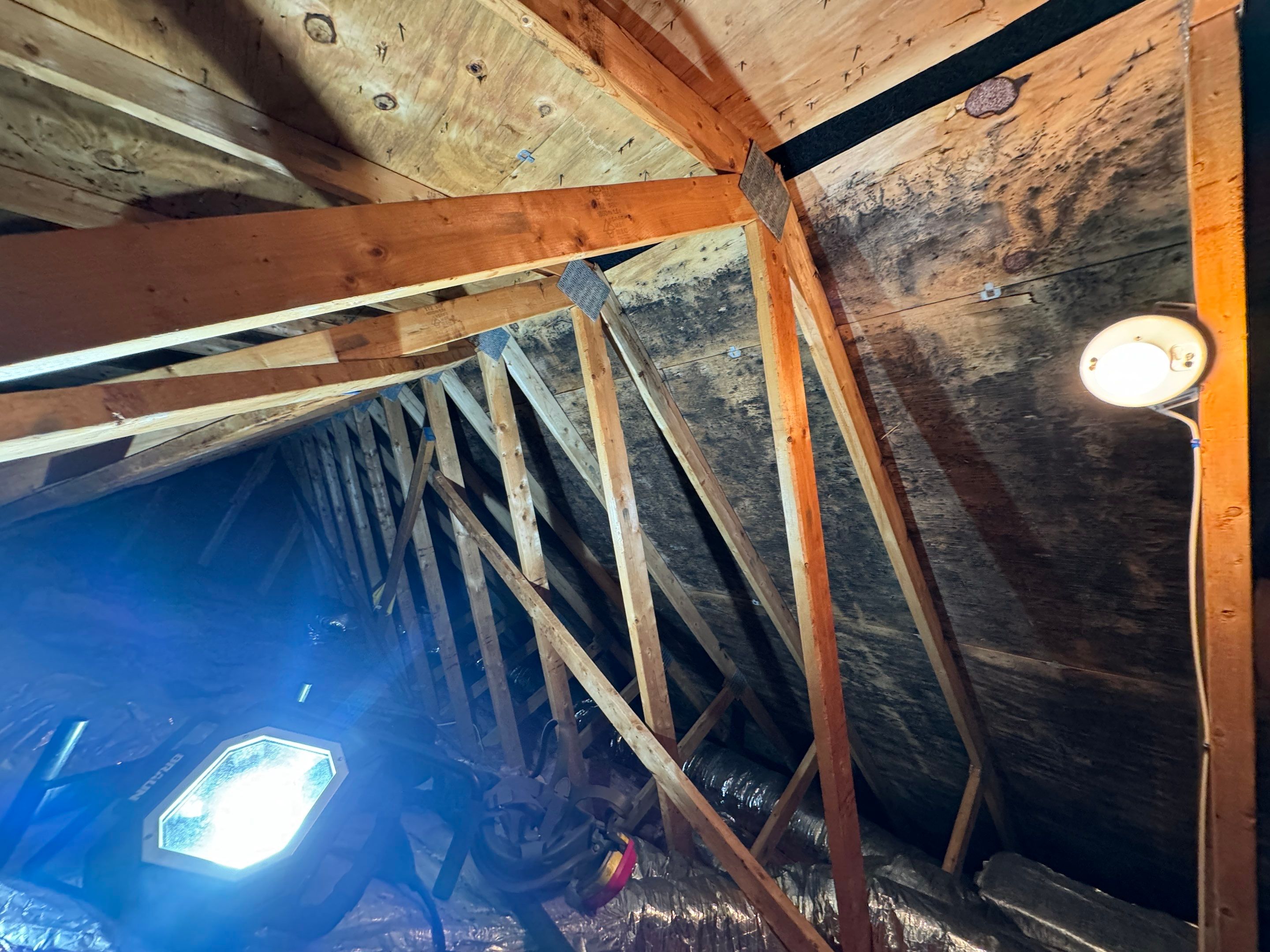 Attic Mold Remediation by Home Guarantee, LLC