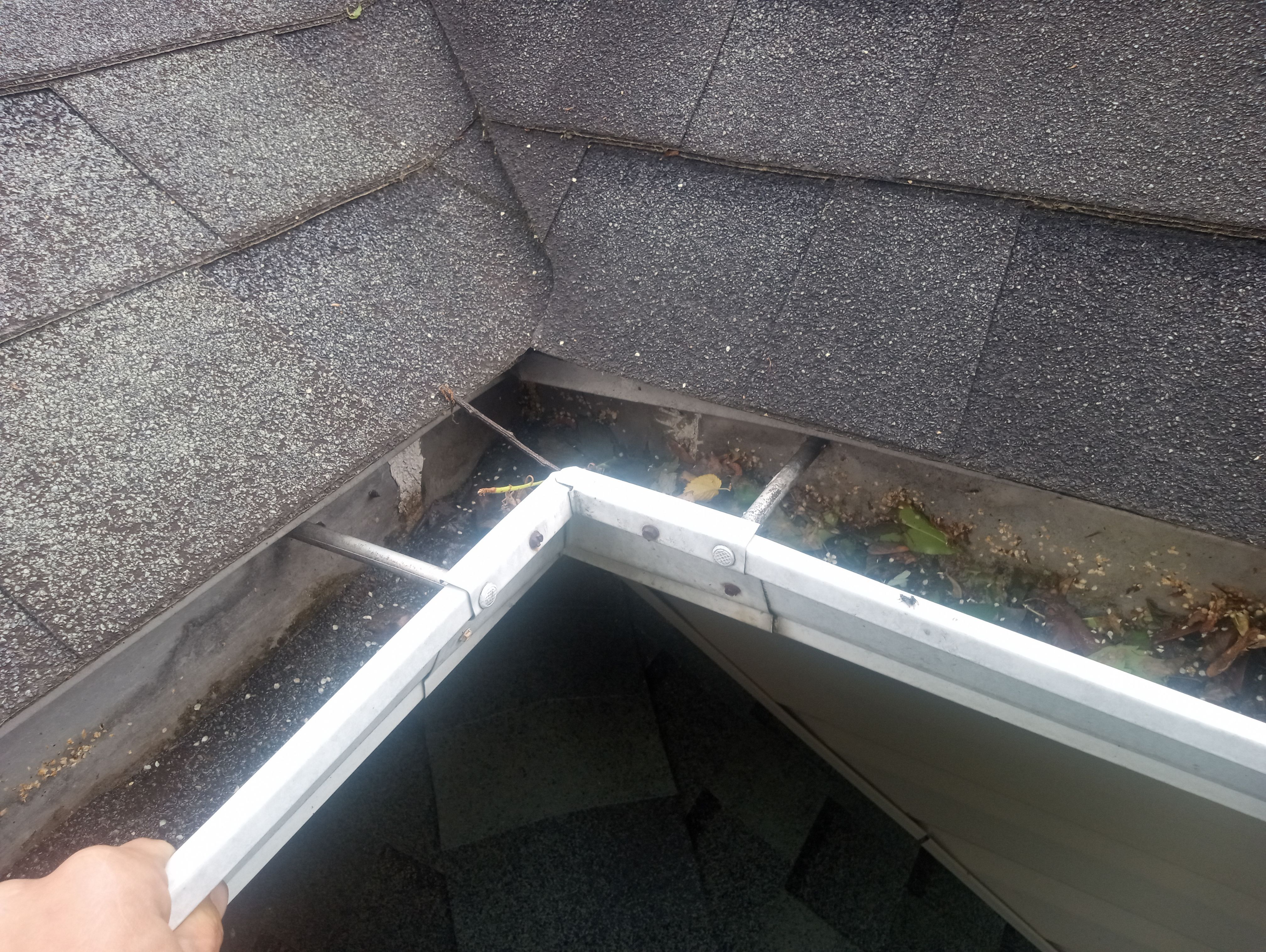 Tom Colelli by Silver Leaf Contracting 