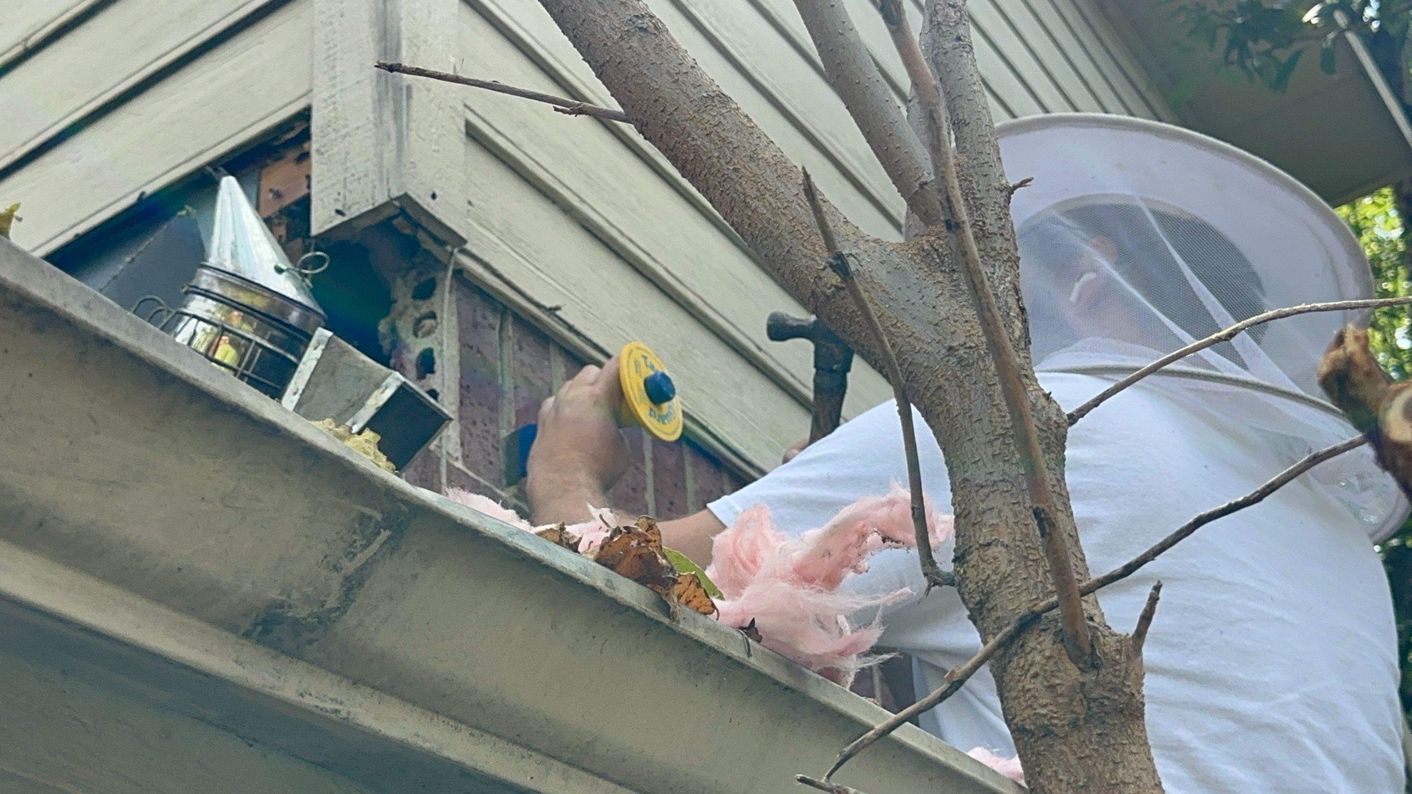 Between Floors by Rockwall Honey Bee Company