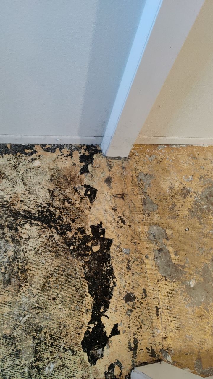 Water Damage by Accountable Home Services
